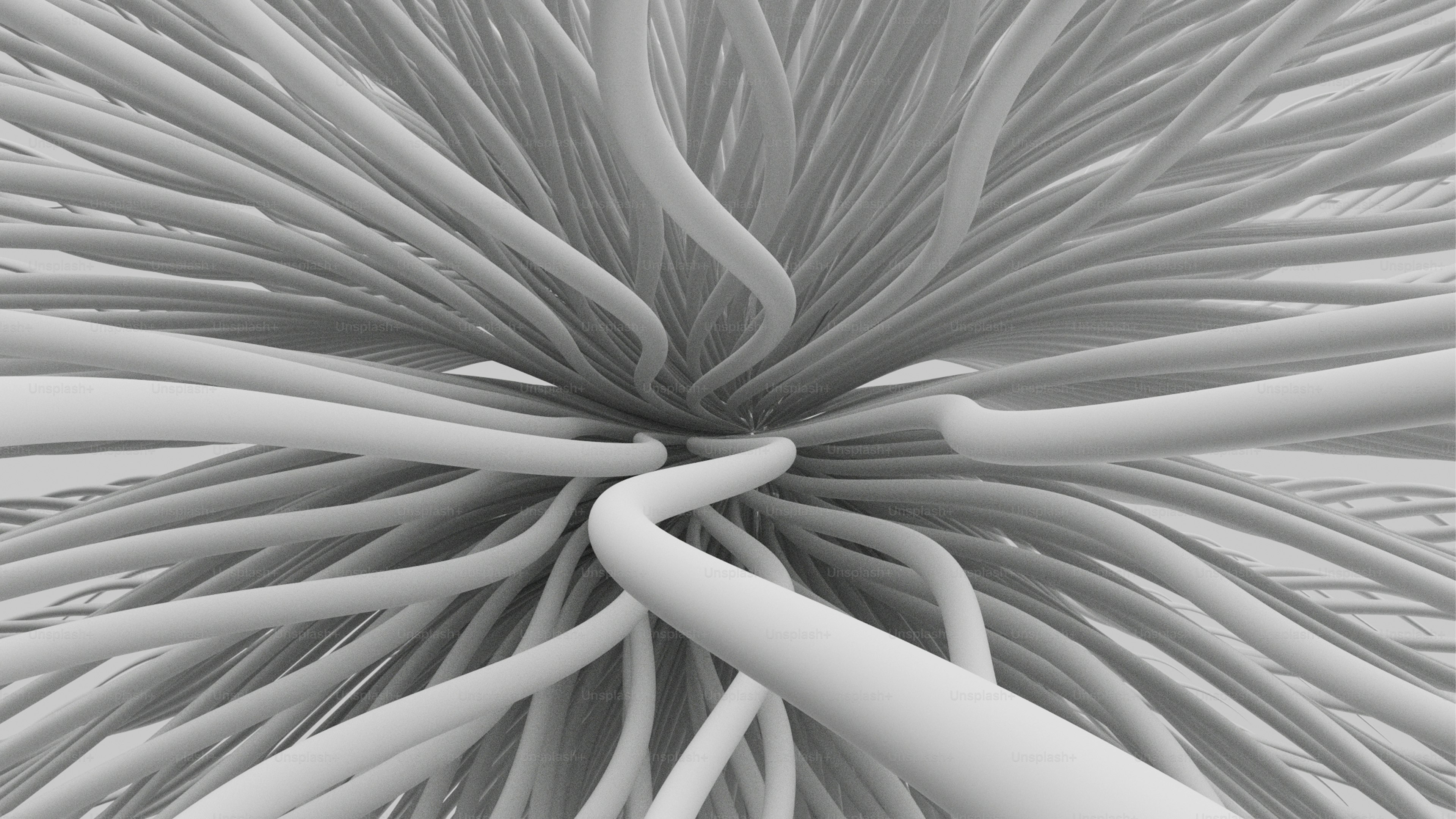 Many white curved lines radiating from a central point on a light background