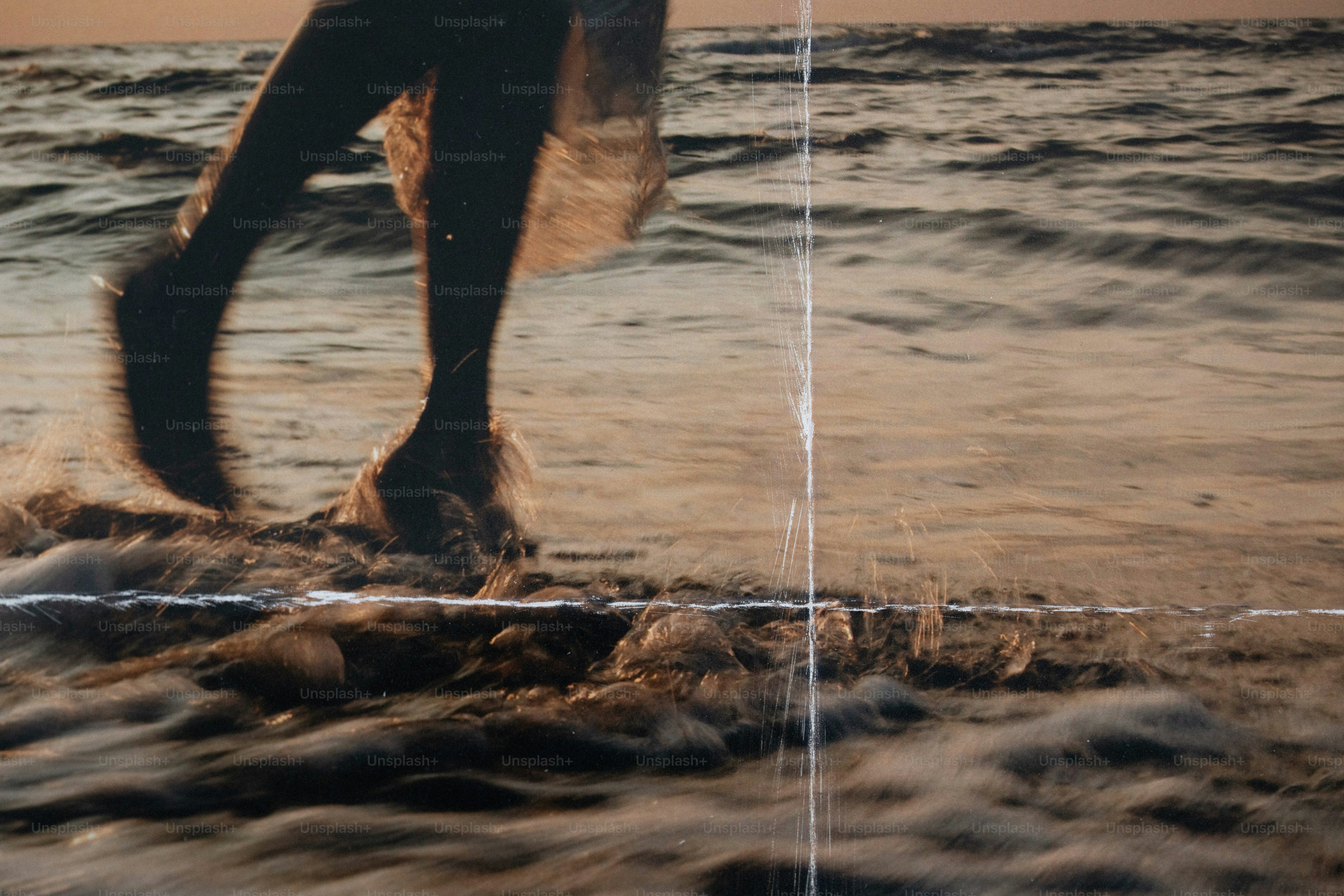 A person walking through shallow ocean waves during the golden hour