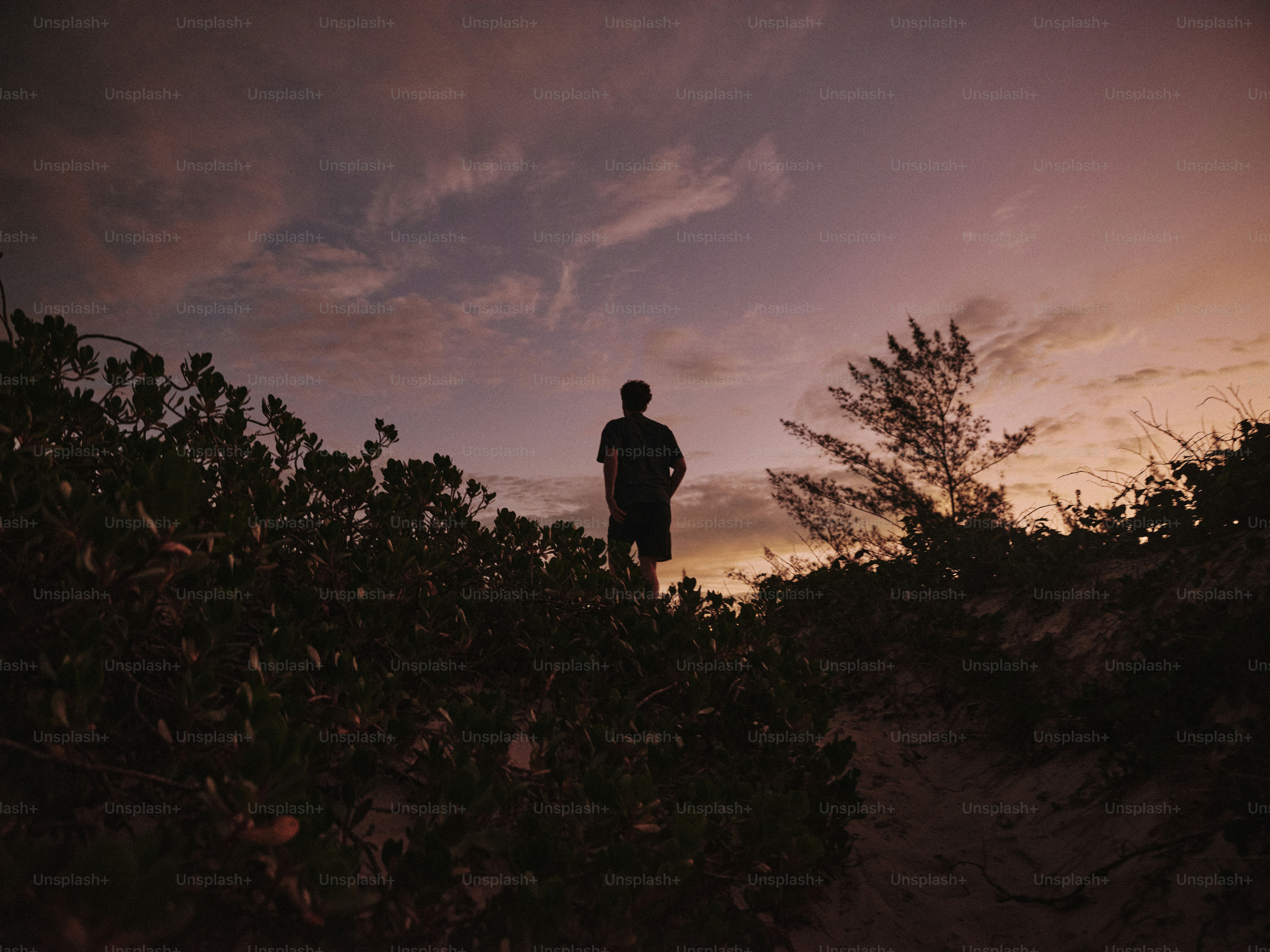 Une personne en silhouette contre un ciel violet chaud sur une dune de sable