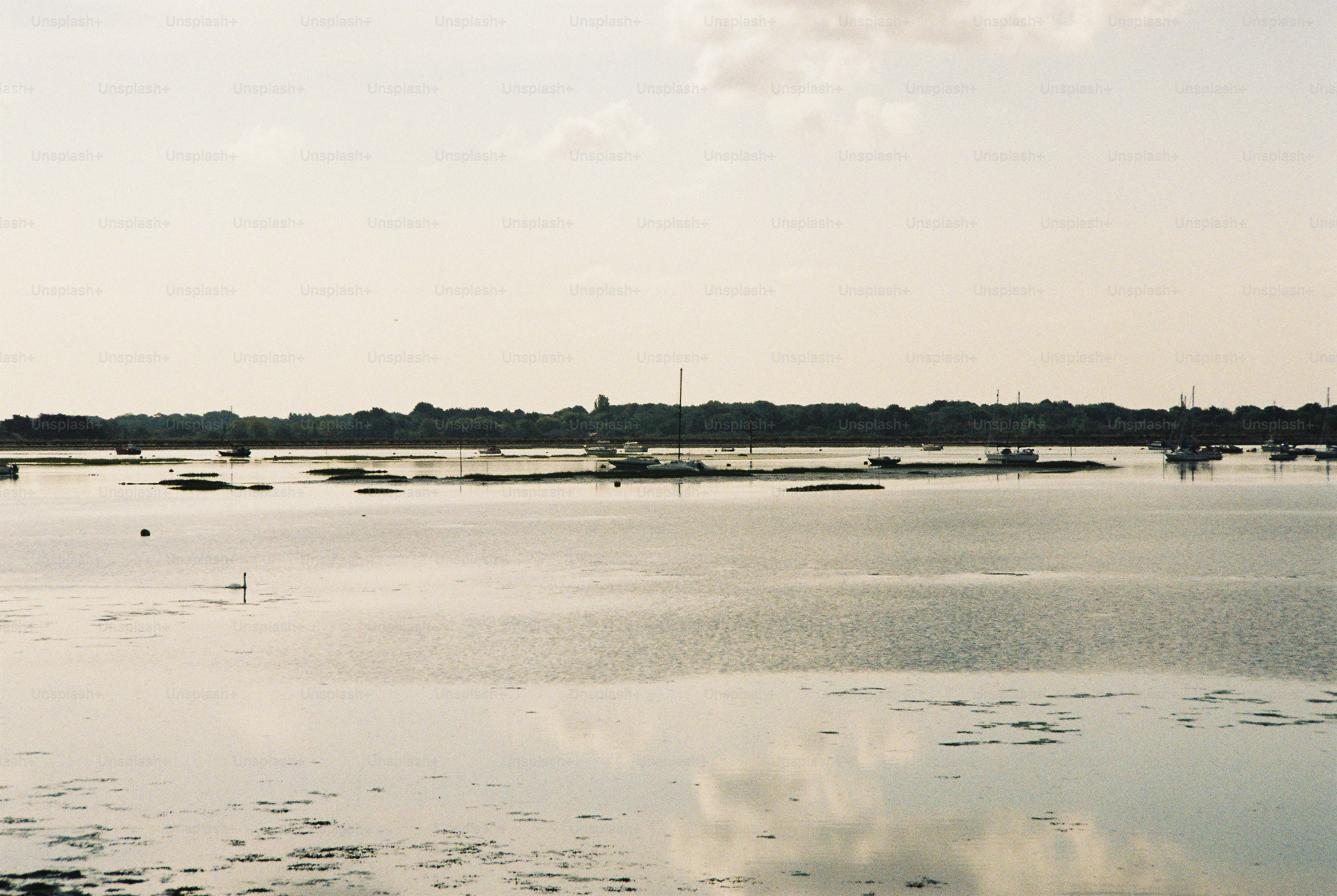 Small sailboats moored in a calm estuary under a pale overcast sky