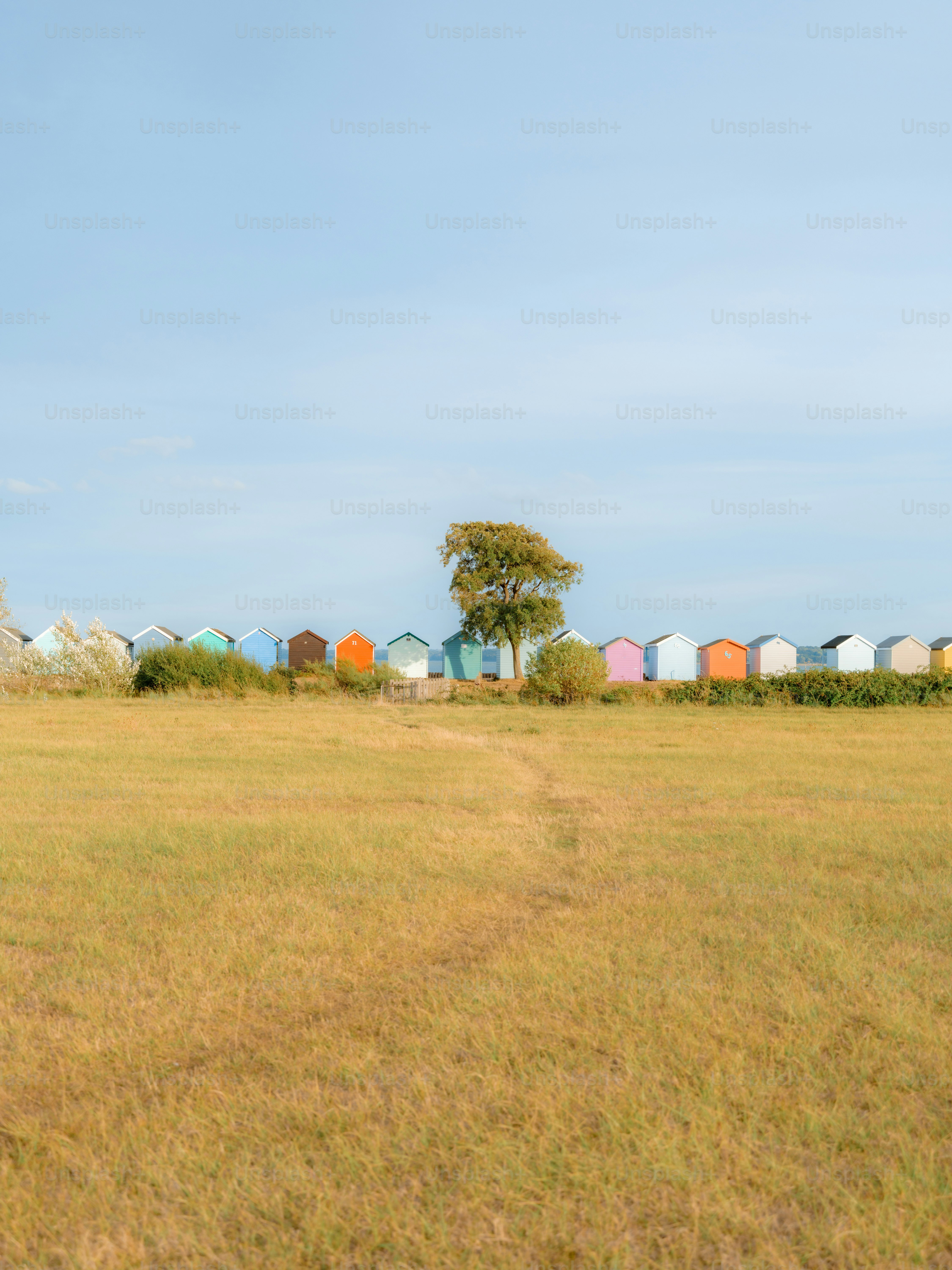 A row of colorful beach huts behind a grassy field under a clear sky