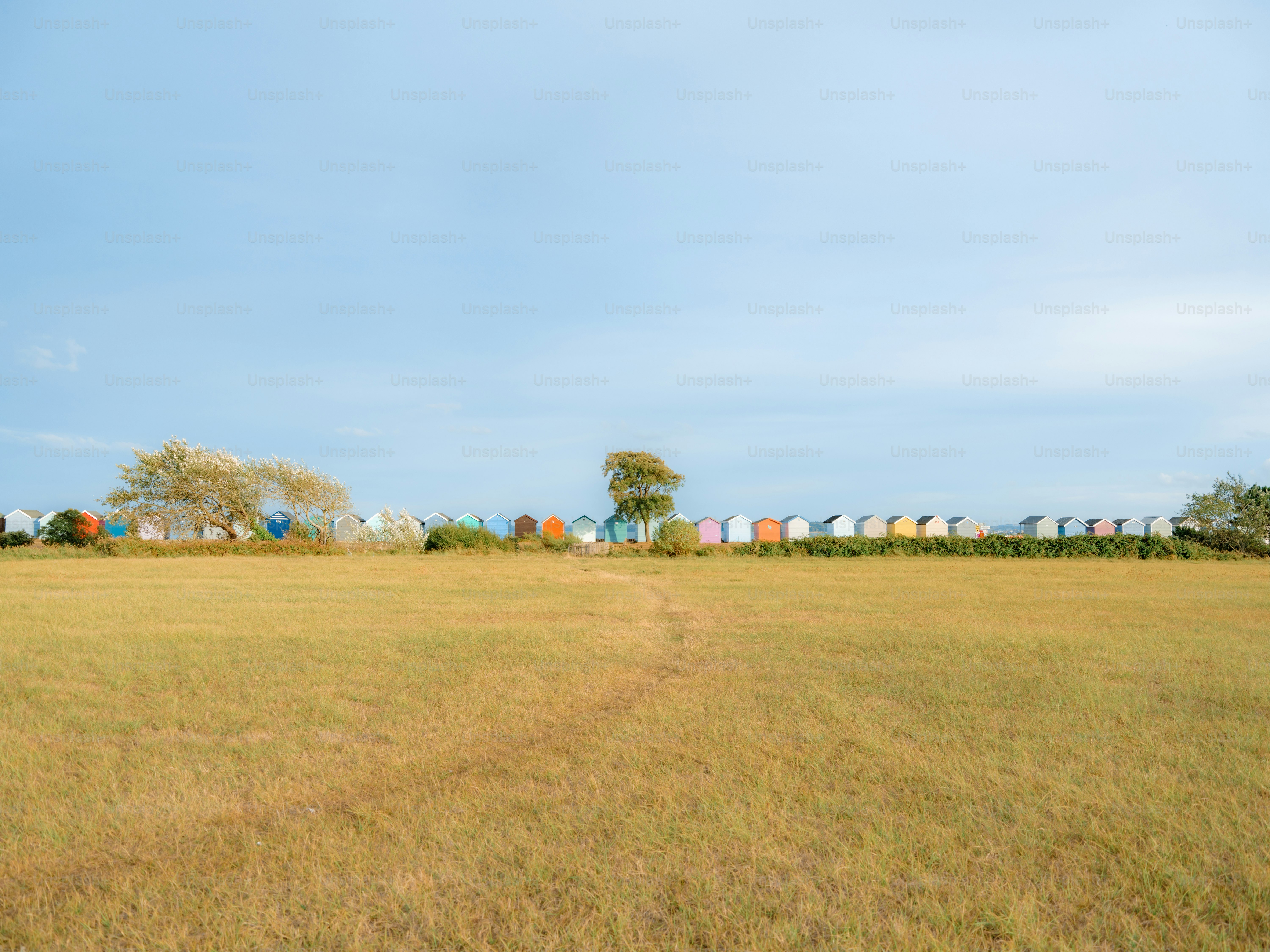 A row of colorful beach huts behind a dry grassy field under blue sky