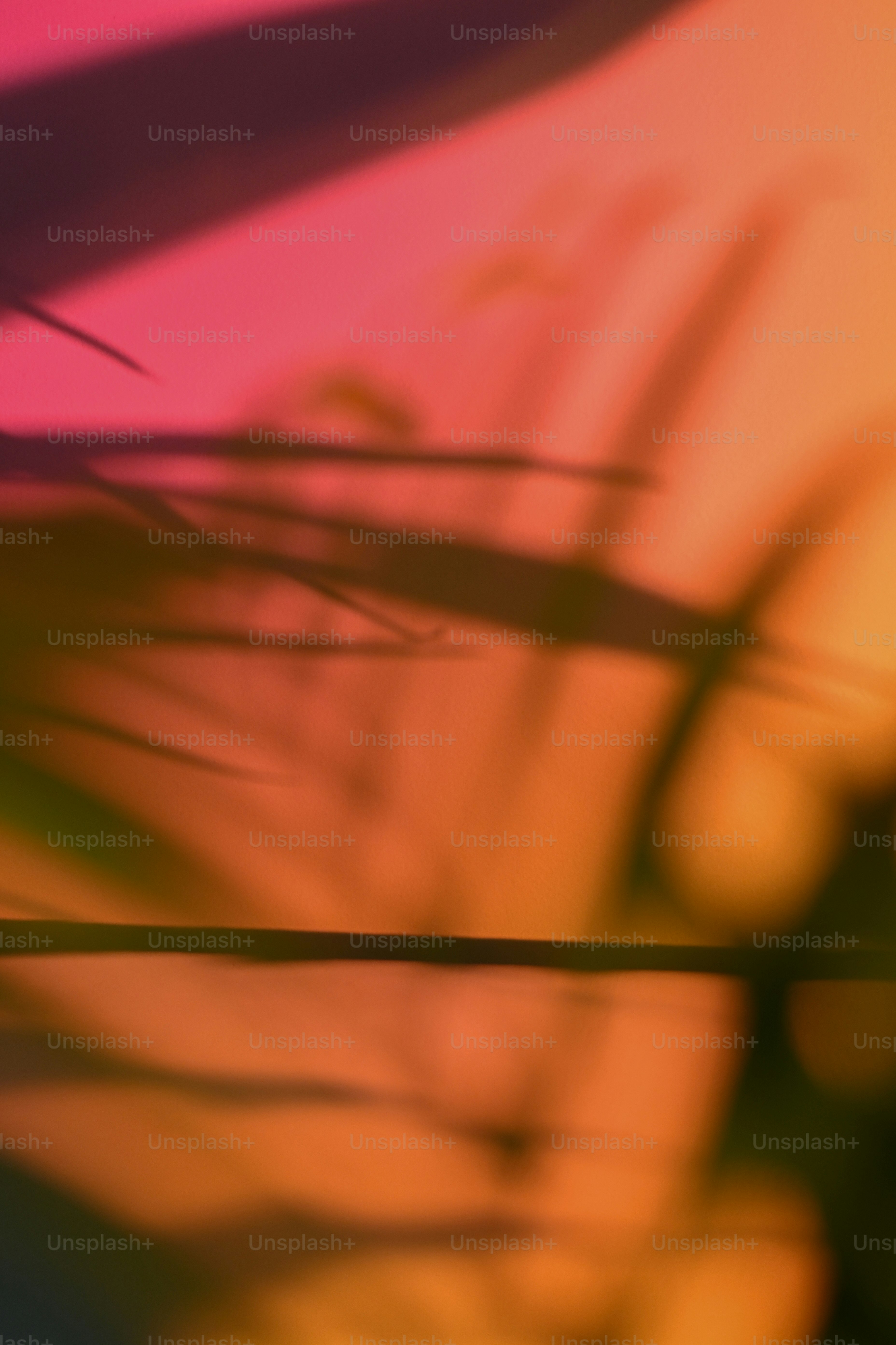 Des ombres de feuilles de palmier se projetent sur un fond vibrant en dégradé rose et orange
