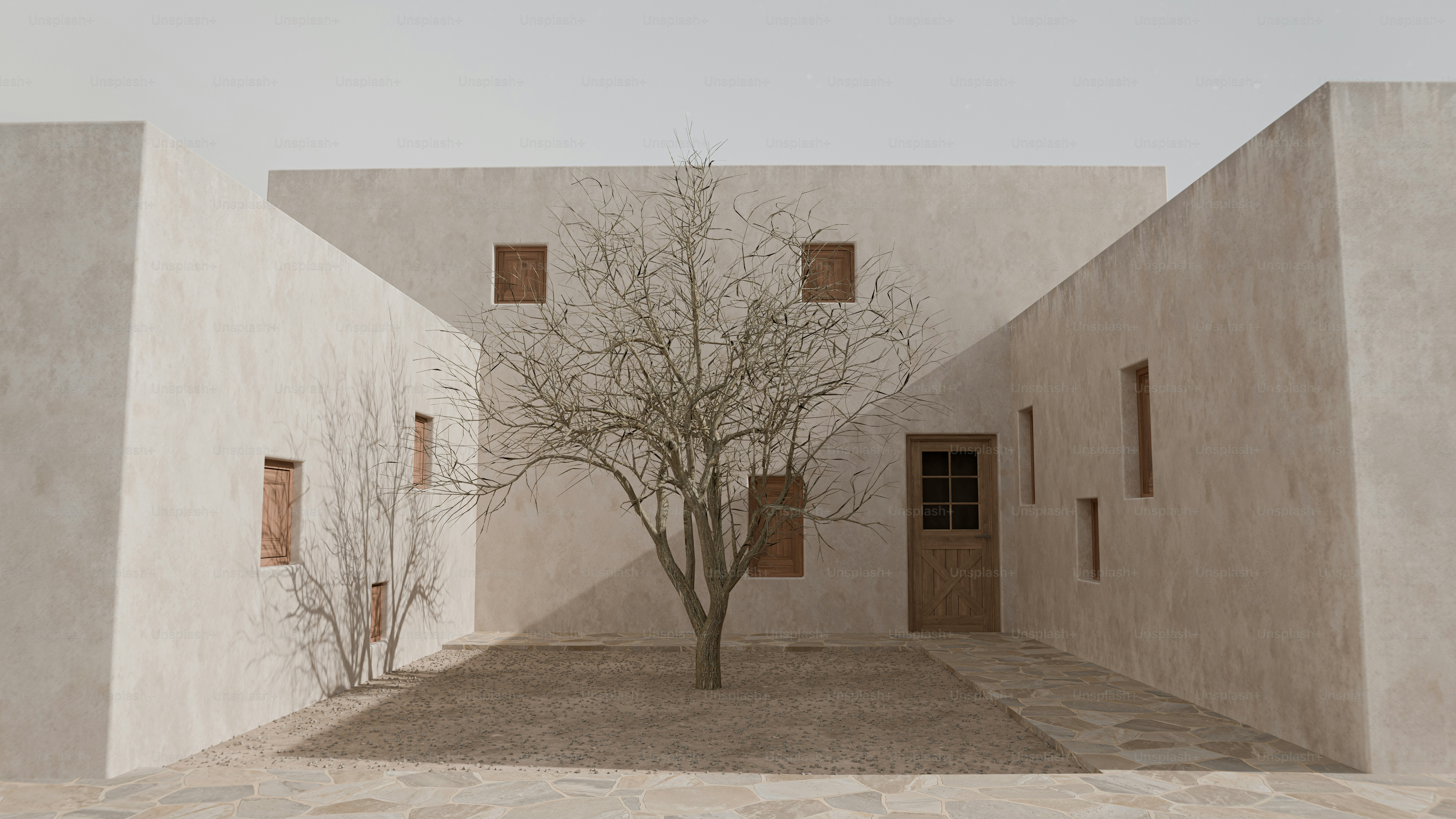 A leafless tree in a gravel courtyard surrounded by beige stucco walls