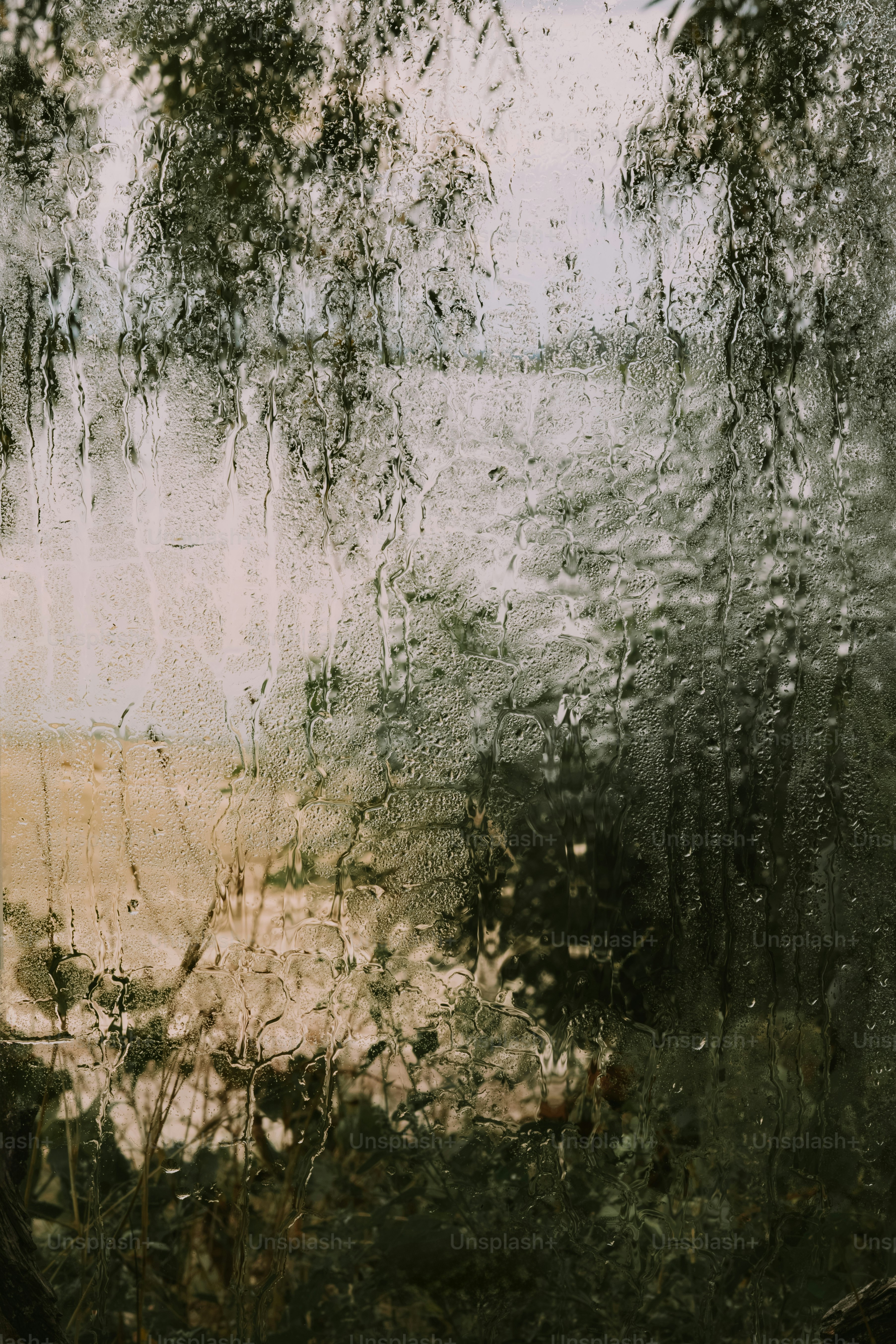 Raindrops and condensation on a window pane with blurred trees in the background