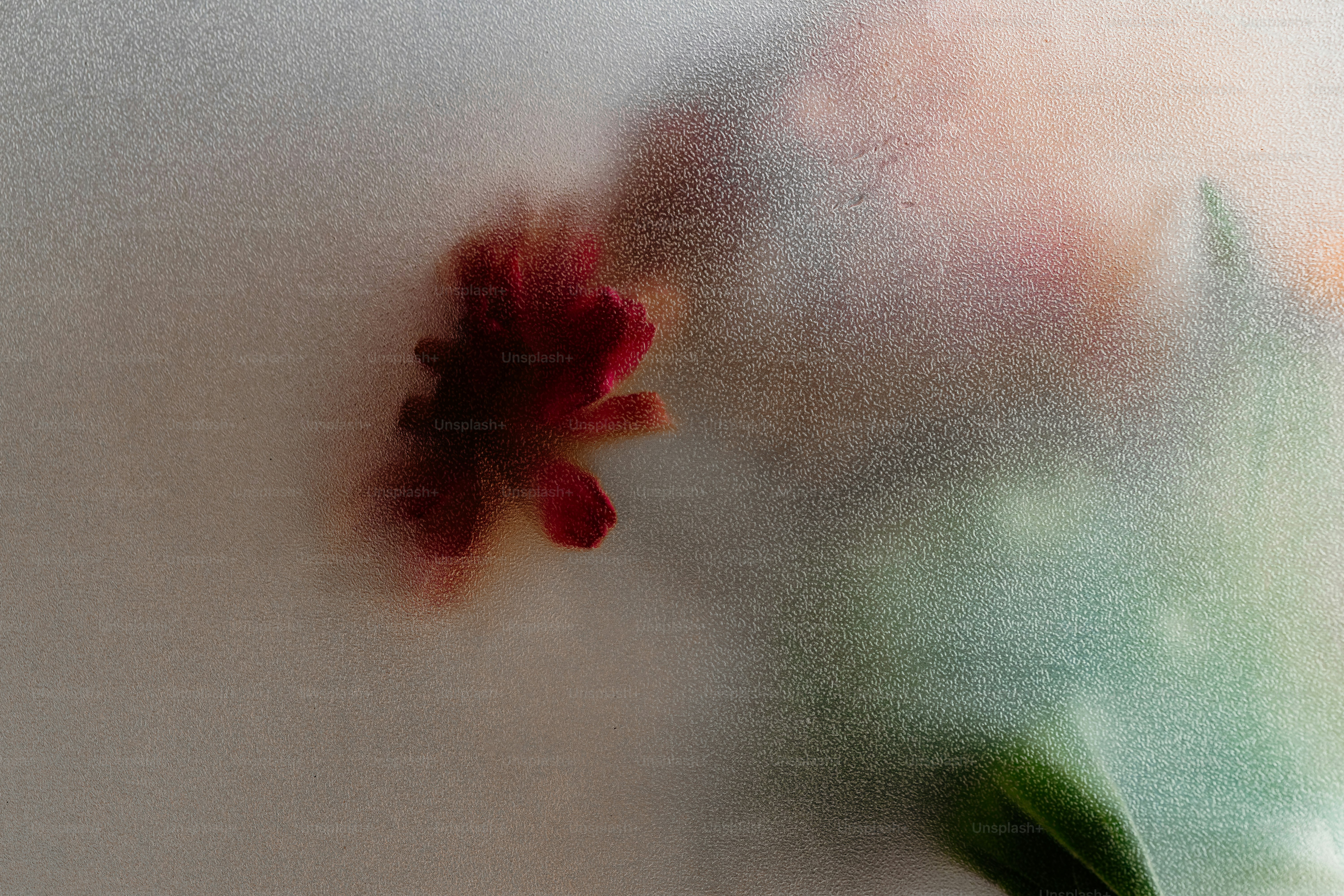 A red flower and green leaves blurred behind a textured frosted glass pane