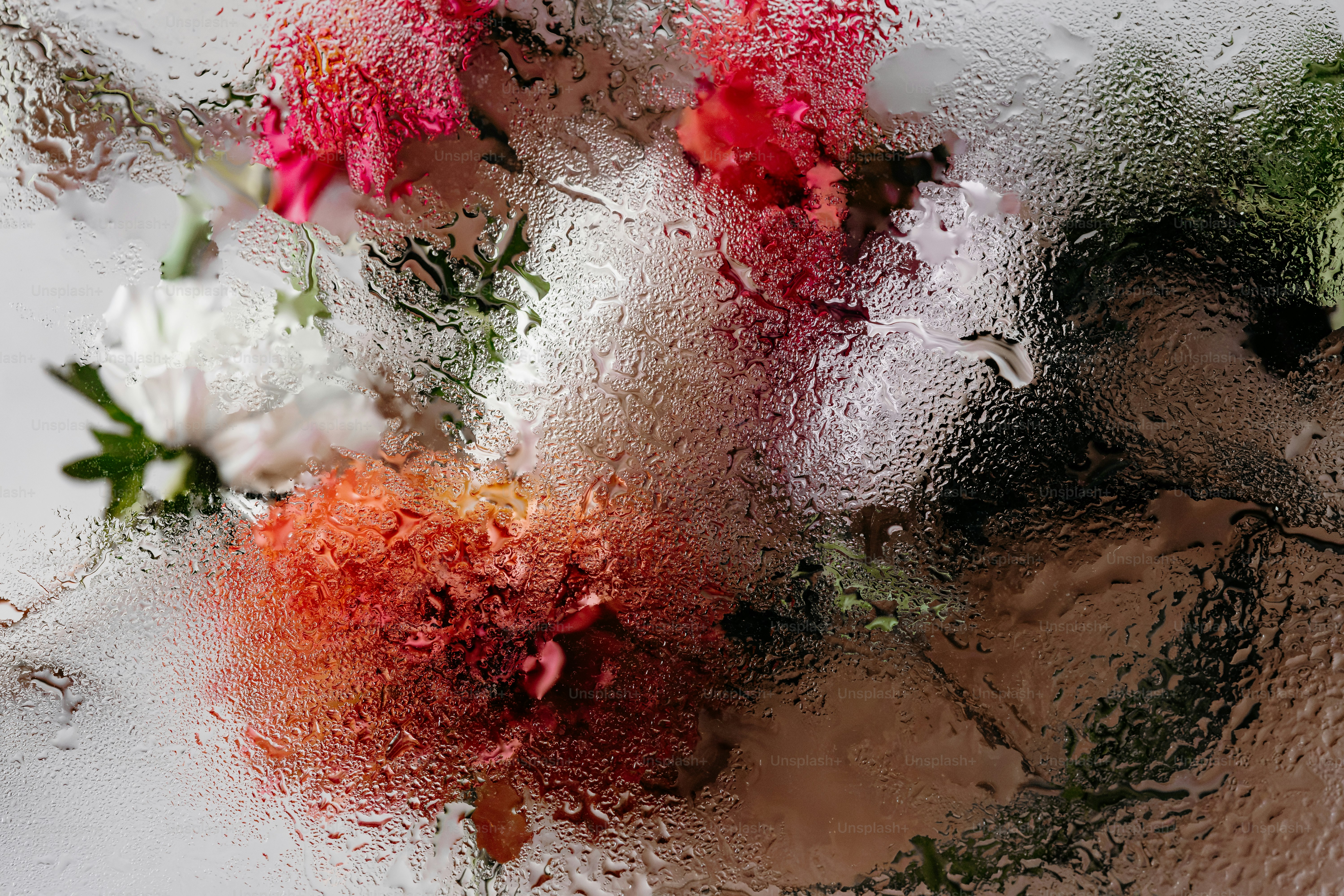 Red and white flowers viewed through a glass pane covered in water droplets