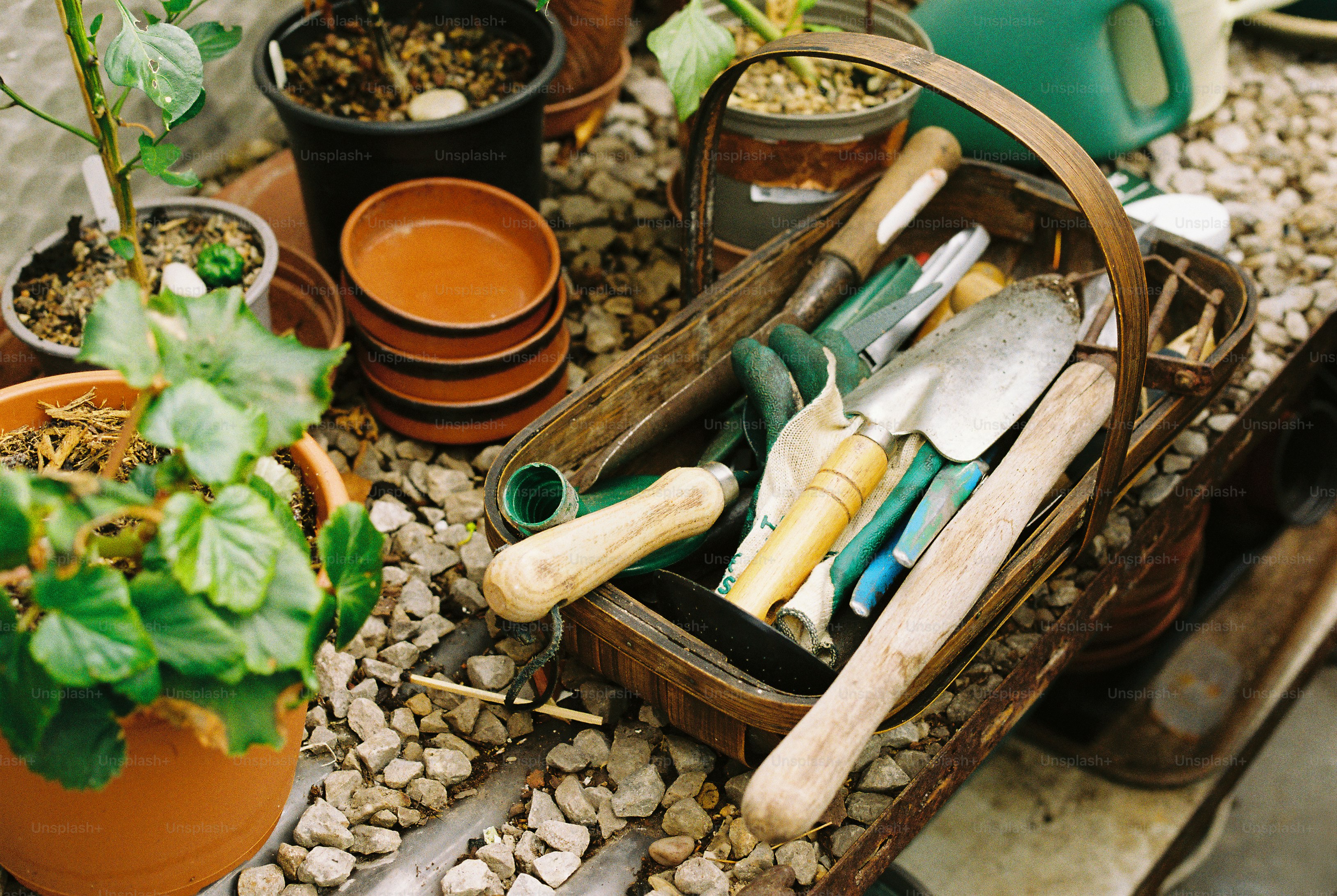 A wooden basket filled with gardening tools on a gravel surface near potted plants