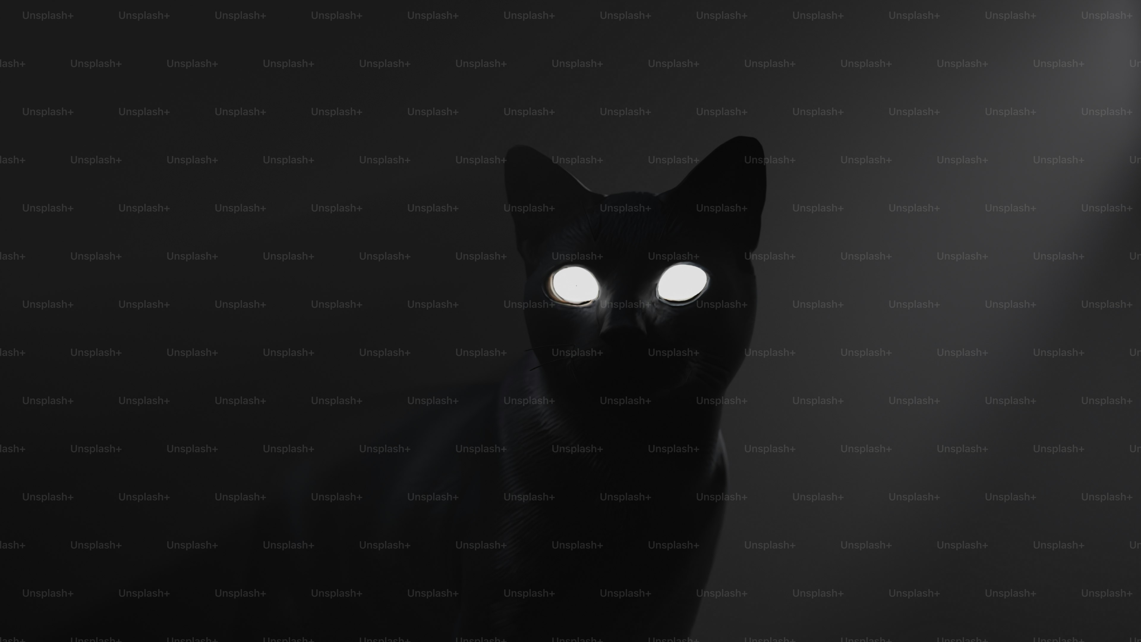 Uma silhueta de gato preto com olhos brancos brilhantes em um quarto escuro
