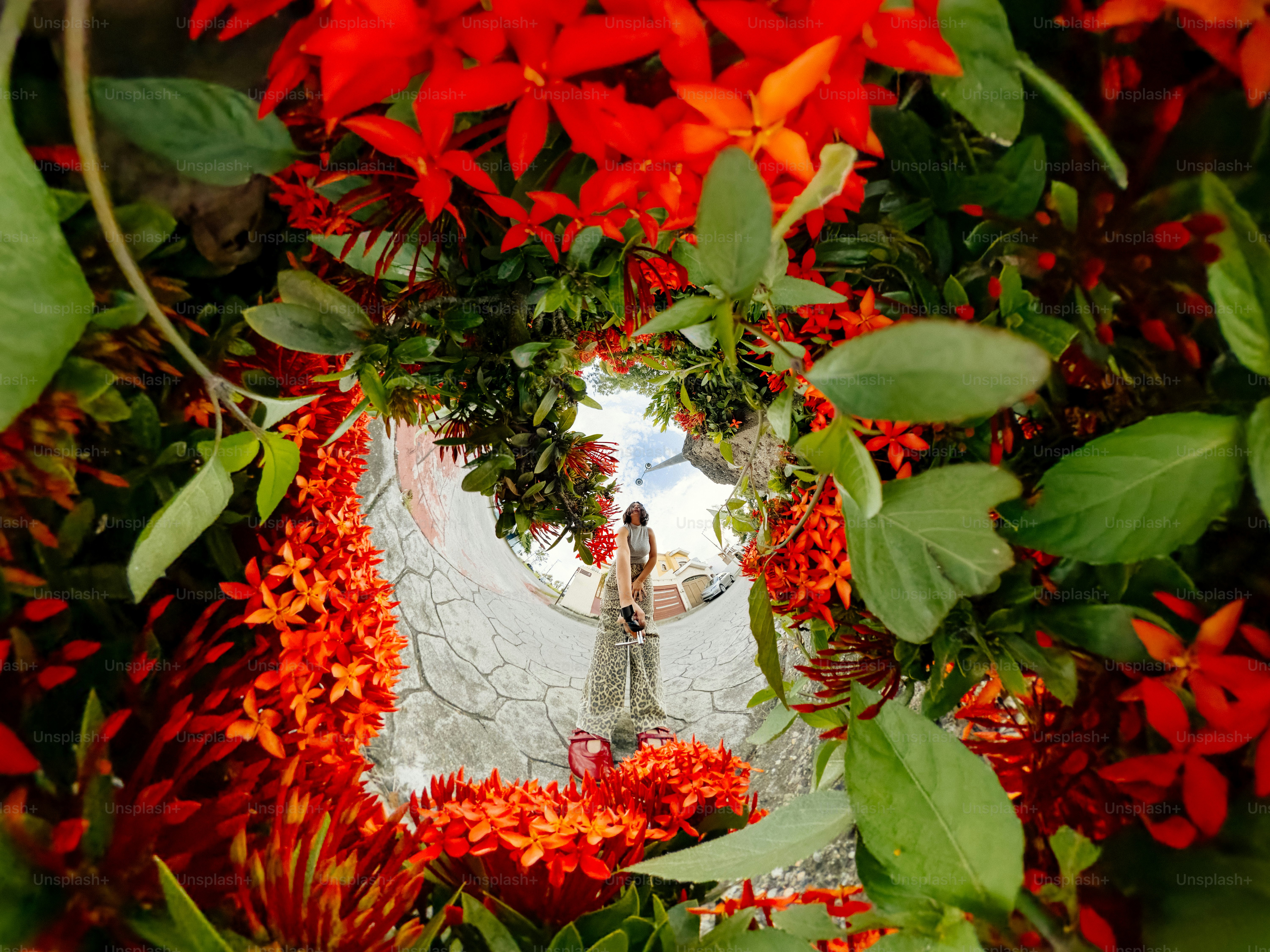 A person in leopard print pants standing within a circular frame of red flowers