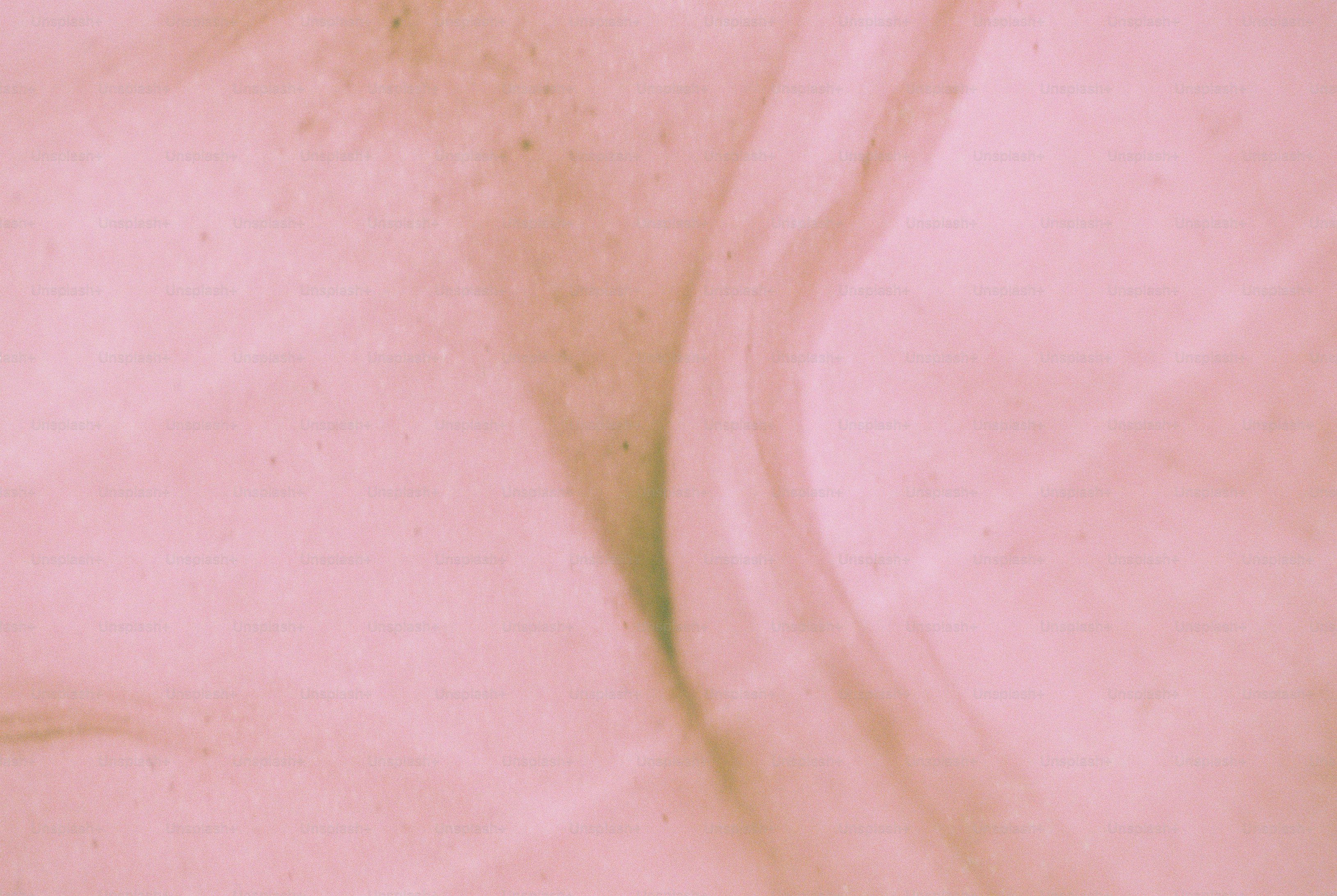 A soft curve across a pale pink fabric texture with subtle green flecks