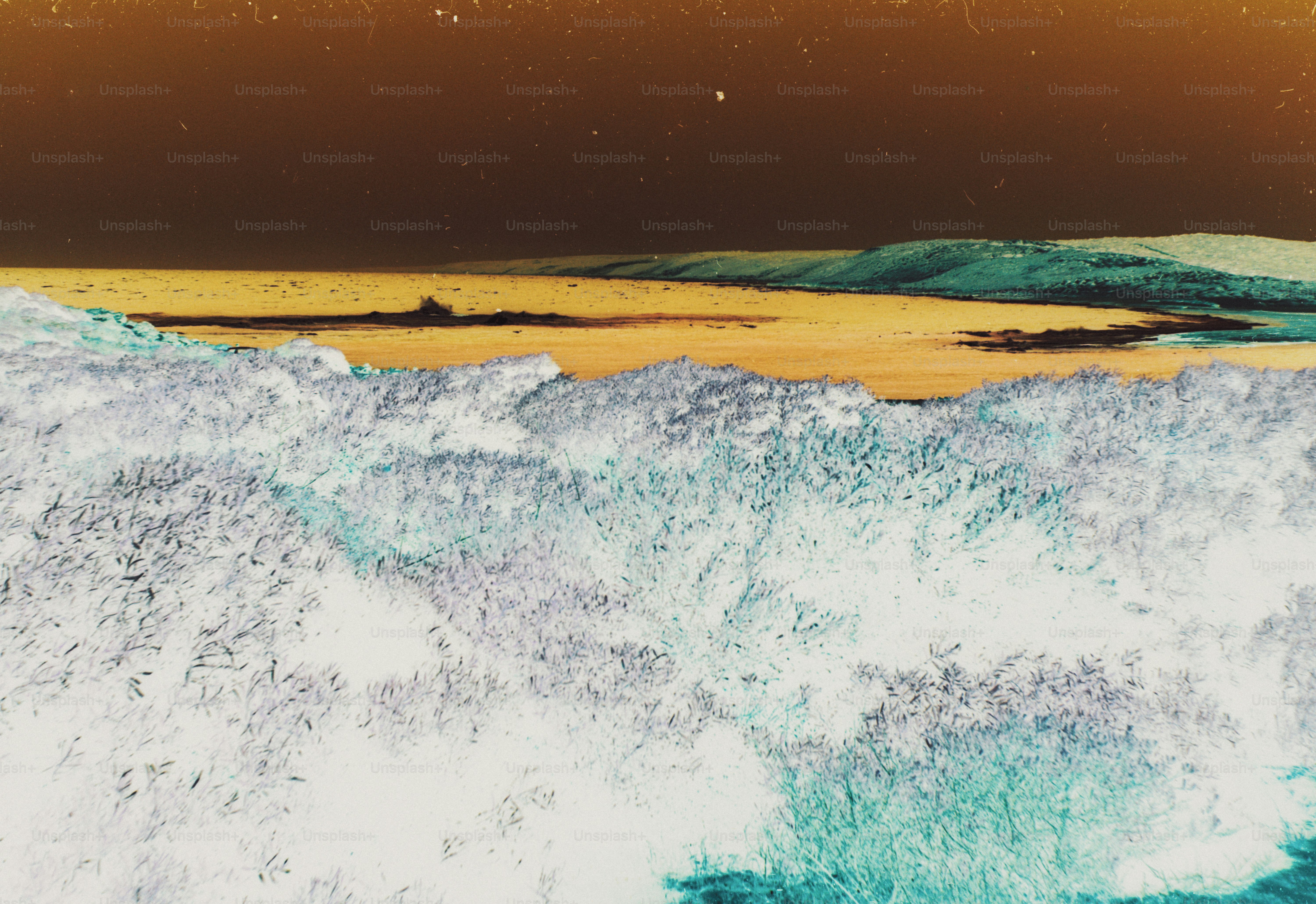 Inverted colors of a grassy field leading to a sandy beach and ocean