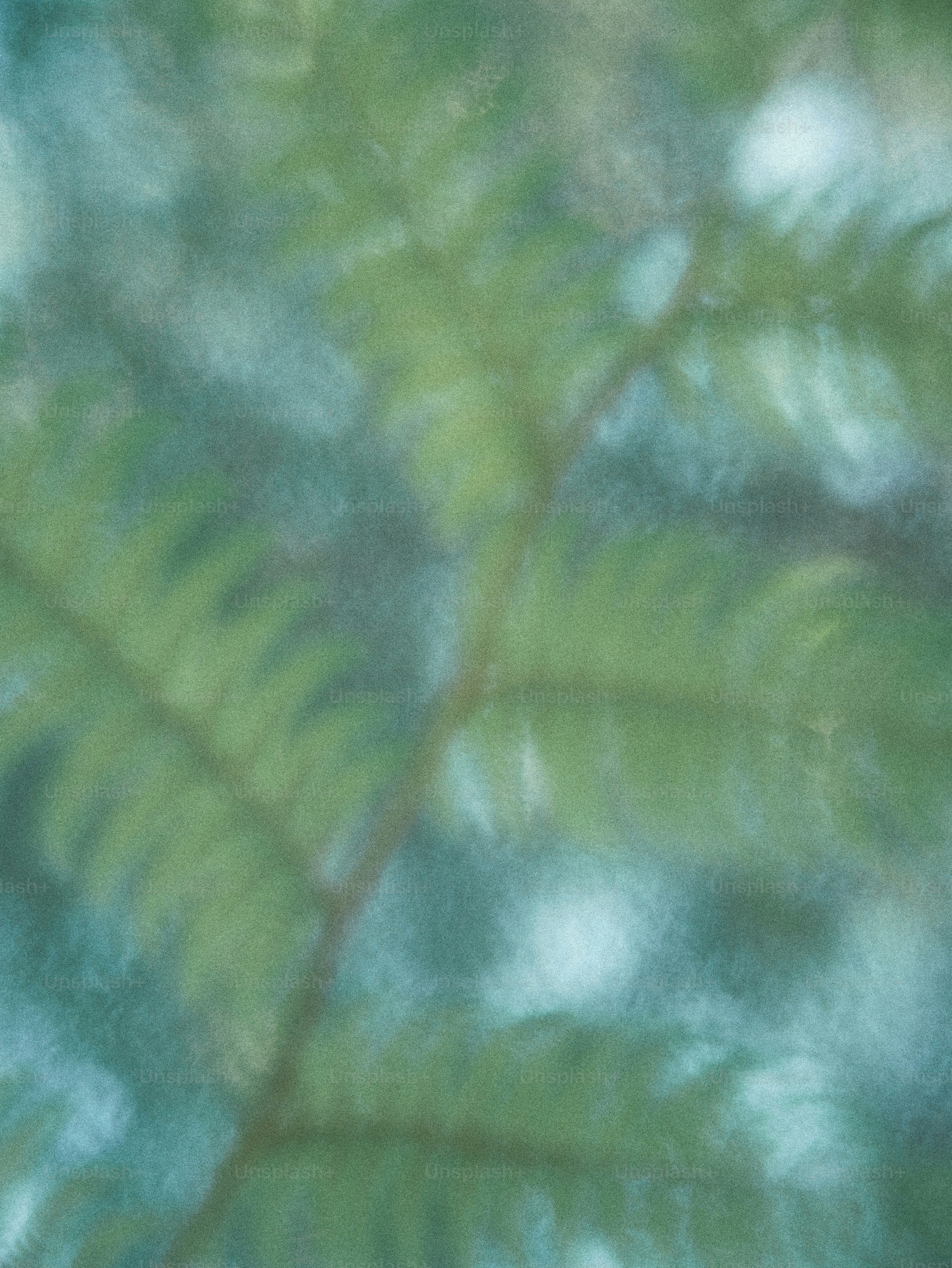 Blurred green fern fronds against a soft blue and green textured background