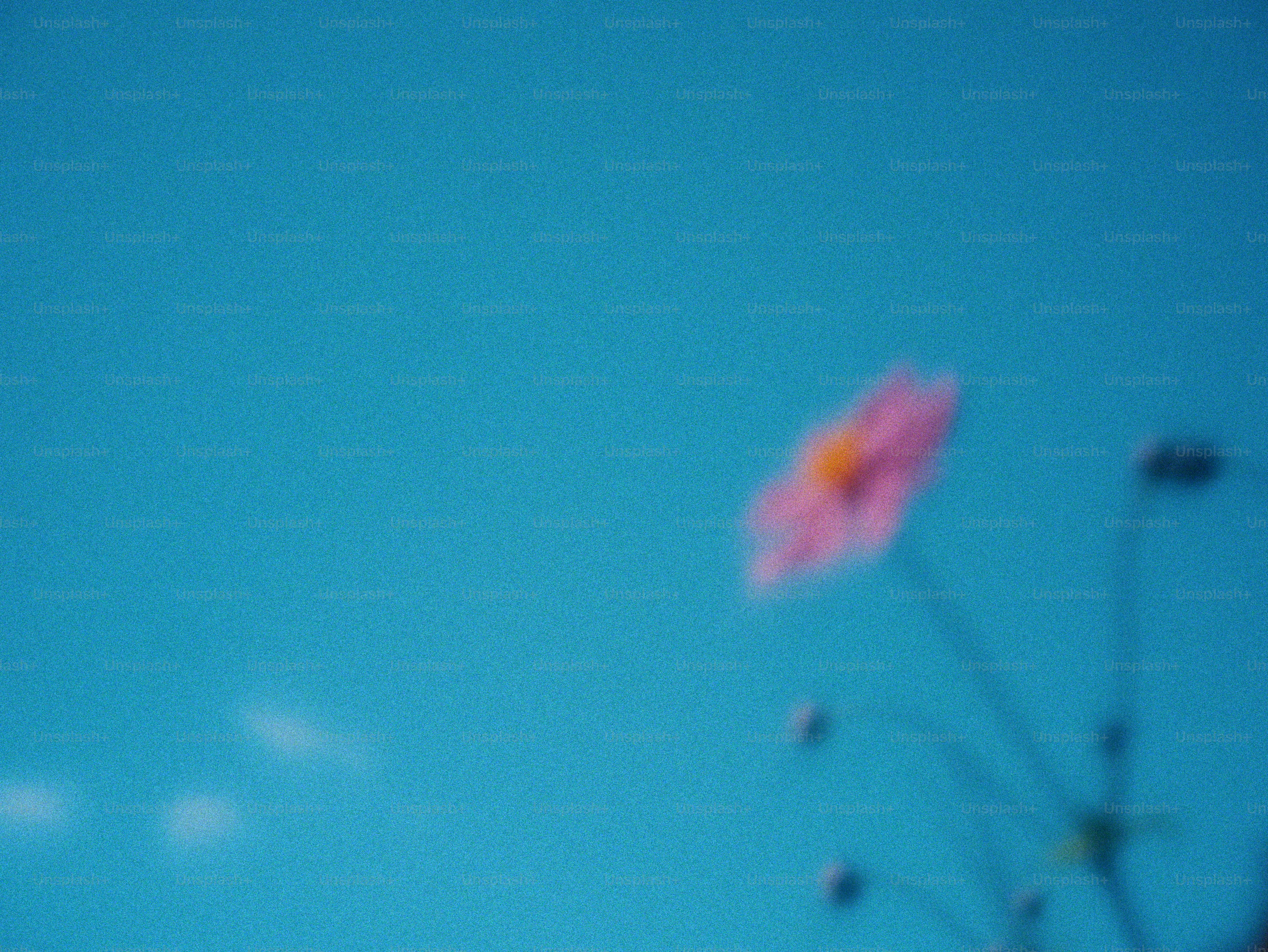 A single pink wildflower out of focus against a clear blue sky