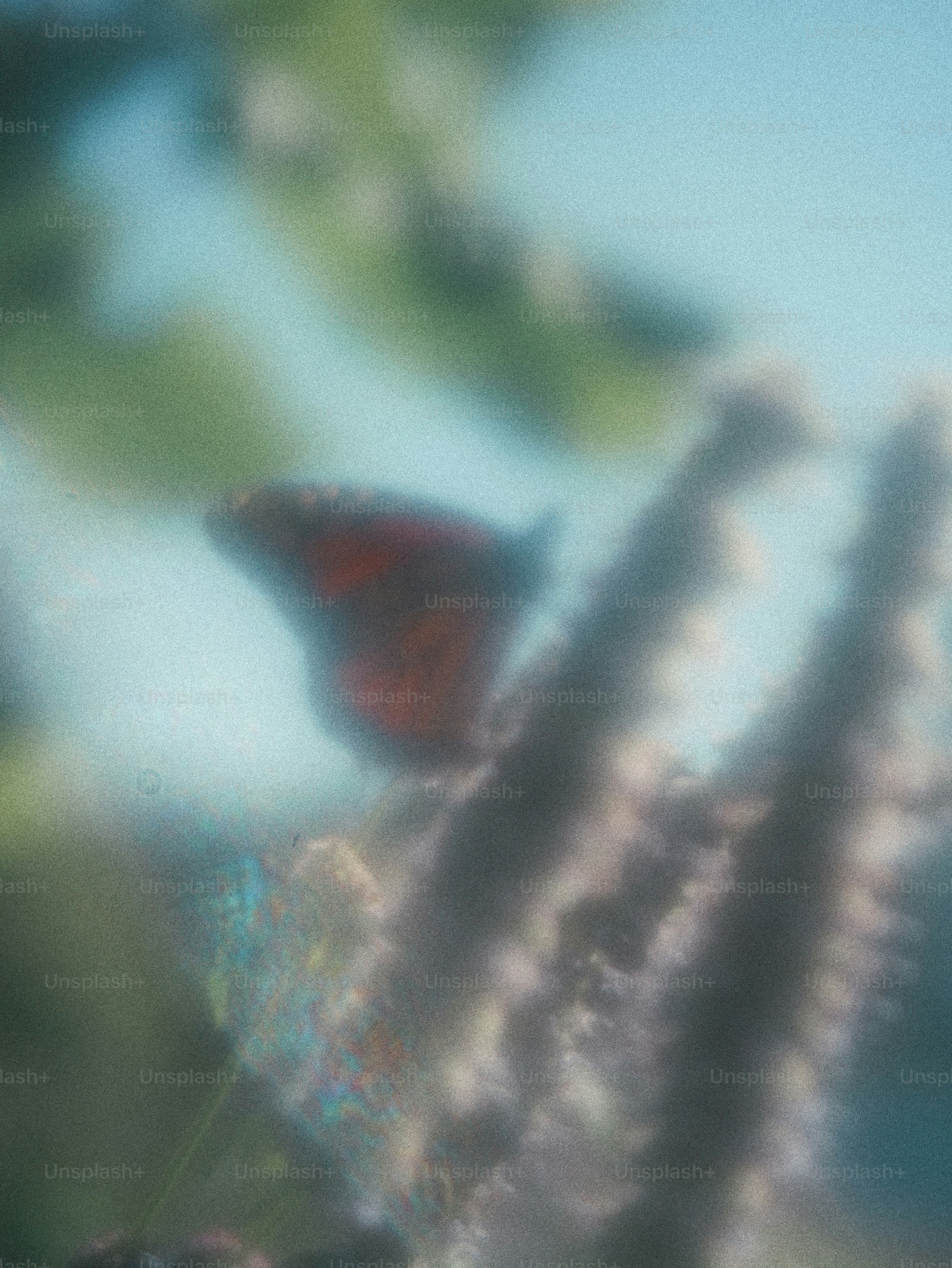 A blurry red butterfly on a textured stem against a soft blue background
