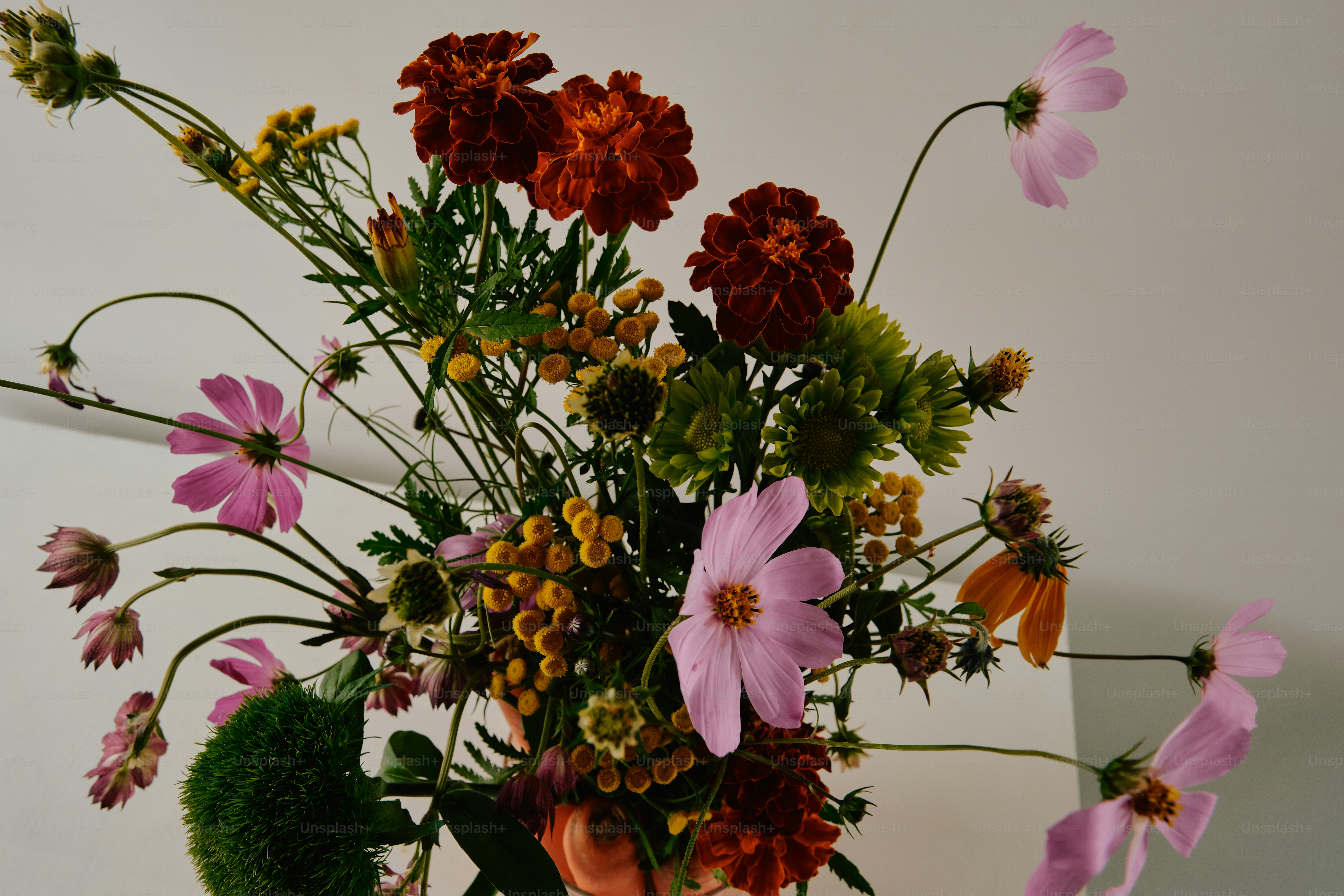 A bouquet of pink cosmos, dark red marigolds, and yellow tansy on a white background