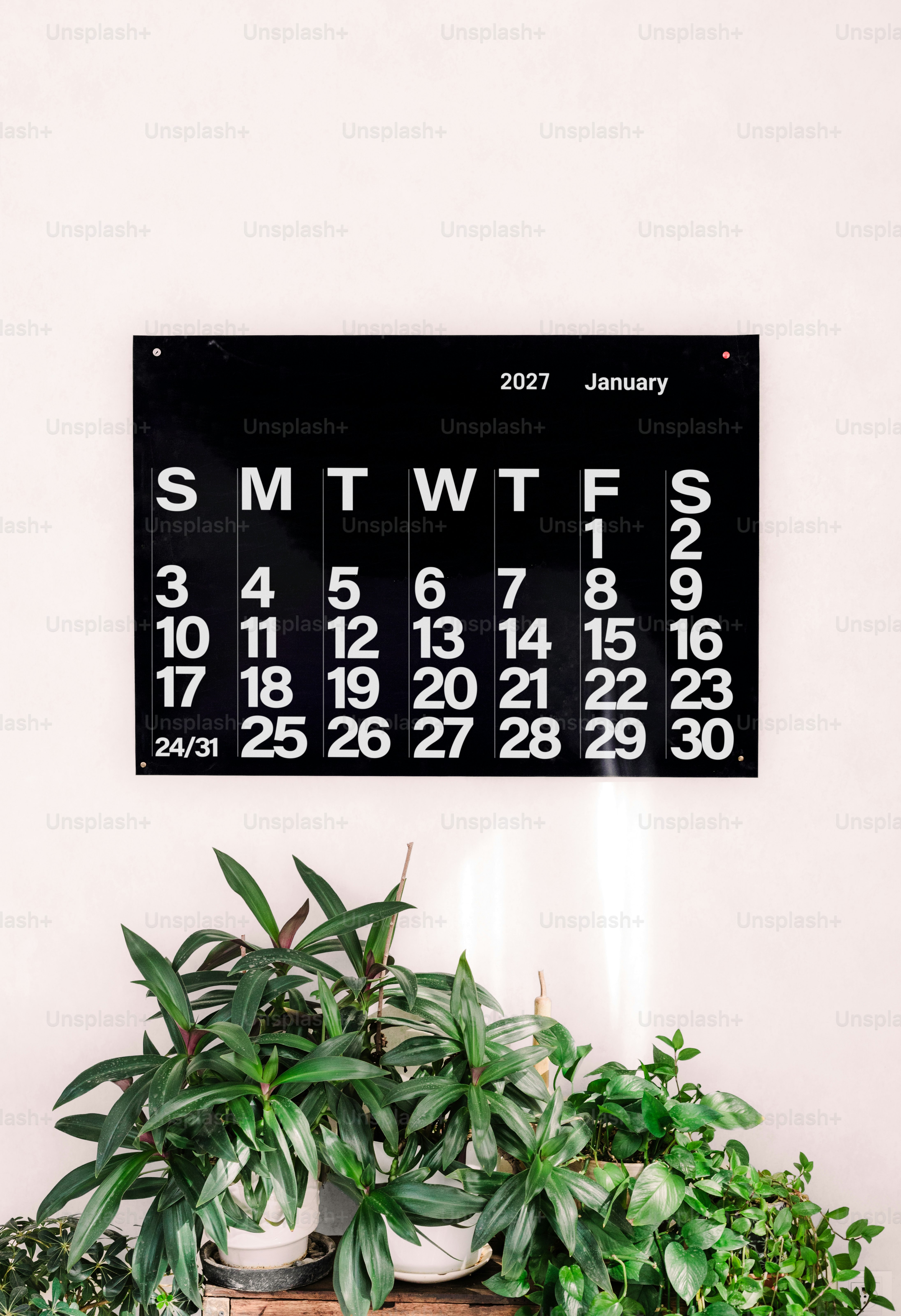 A black wall calendar for January 2027 above several green potted plants