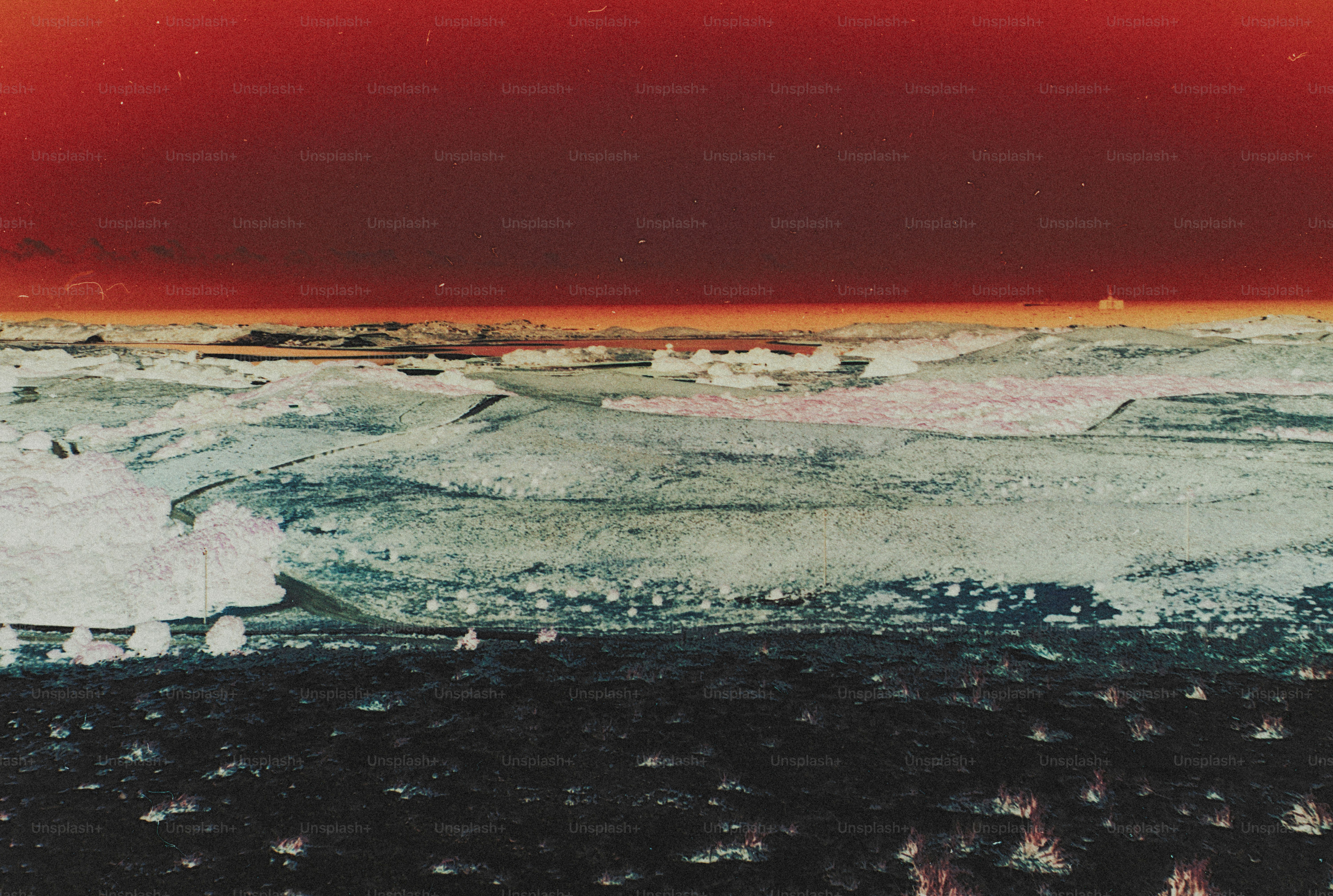 An inverted landscape with dark foreground vegetation and a bright red sky