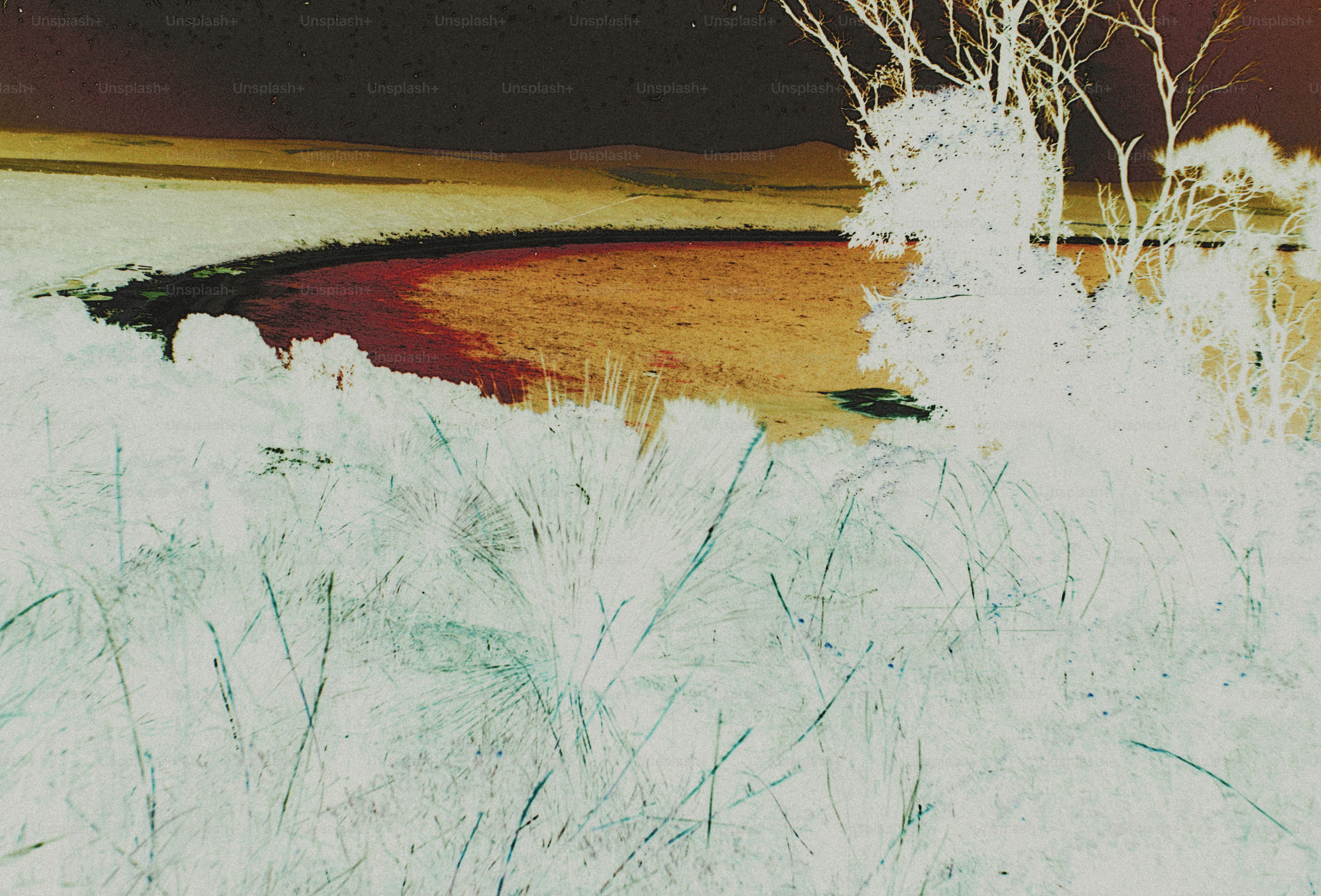 Inverted colors of a lake shore with sparse trees and tall grasses