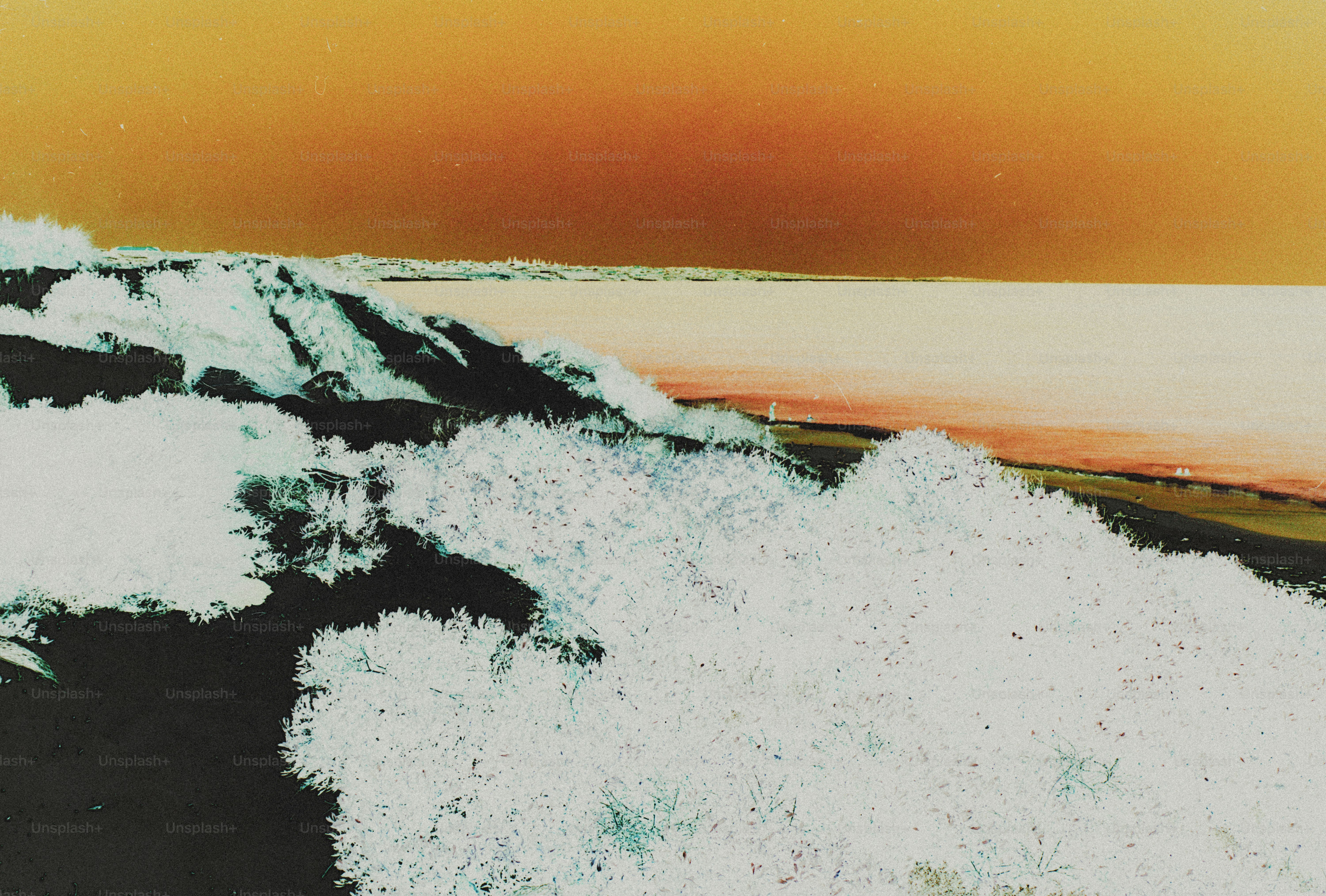 A rocky coastline with white vegetation against a warm orange sky