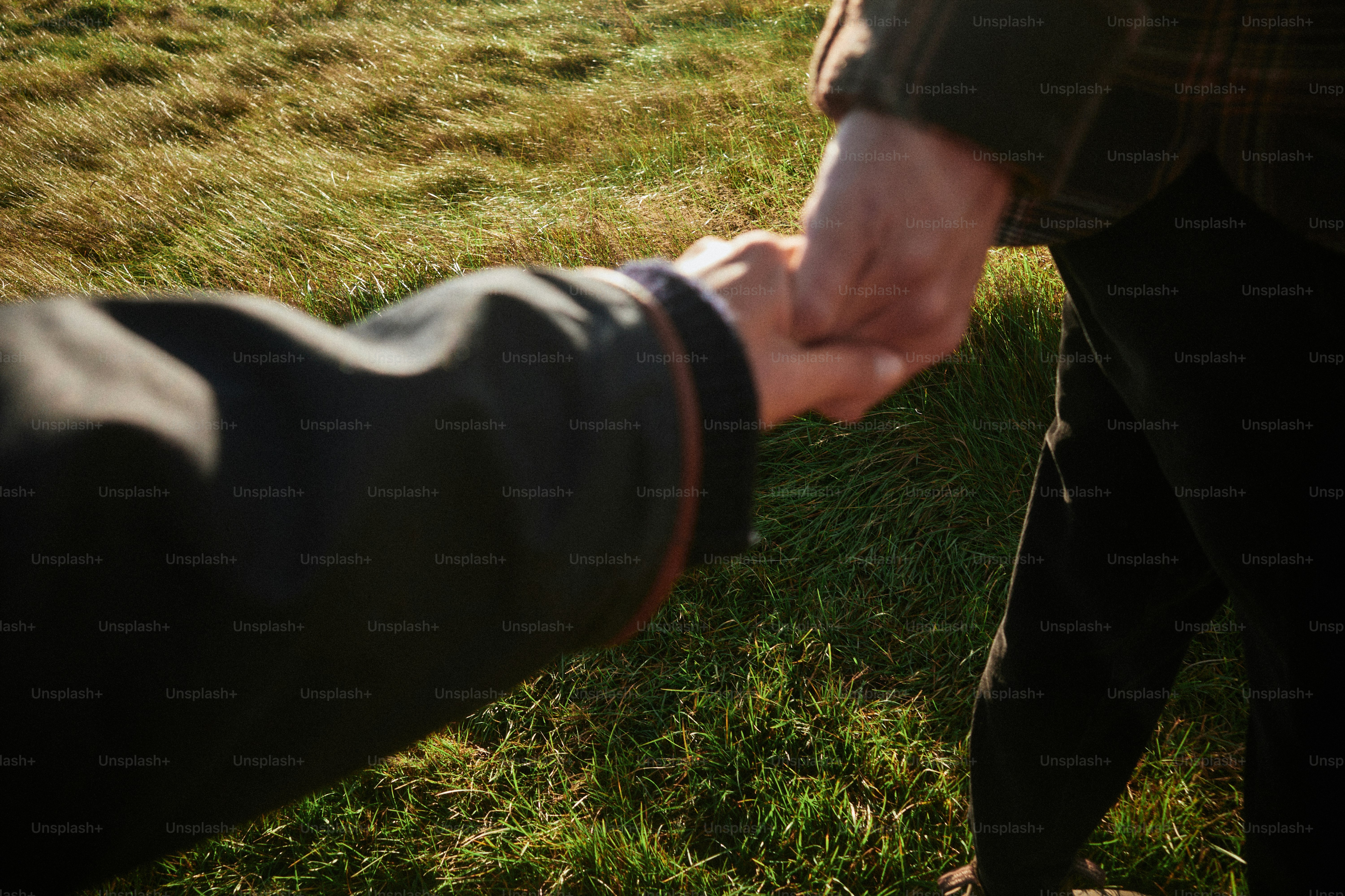 Two people holding hands while walking through a grassy field in golden light