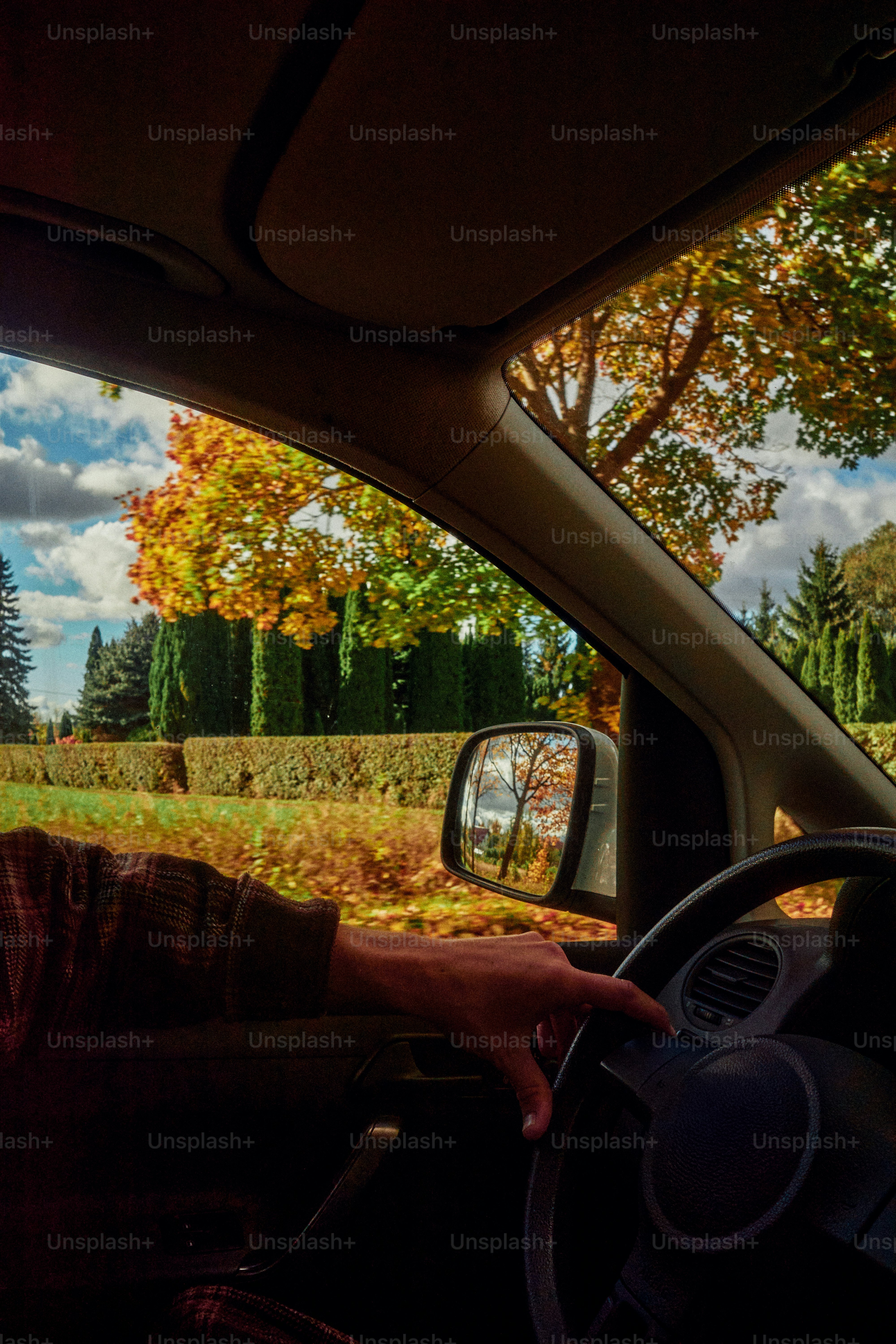 A person driving a car past autumn trees with golden foliage
