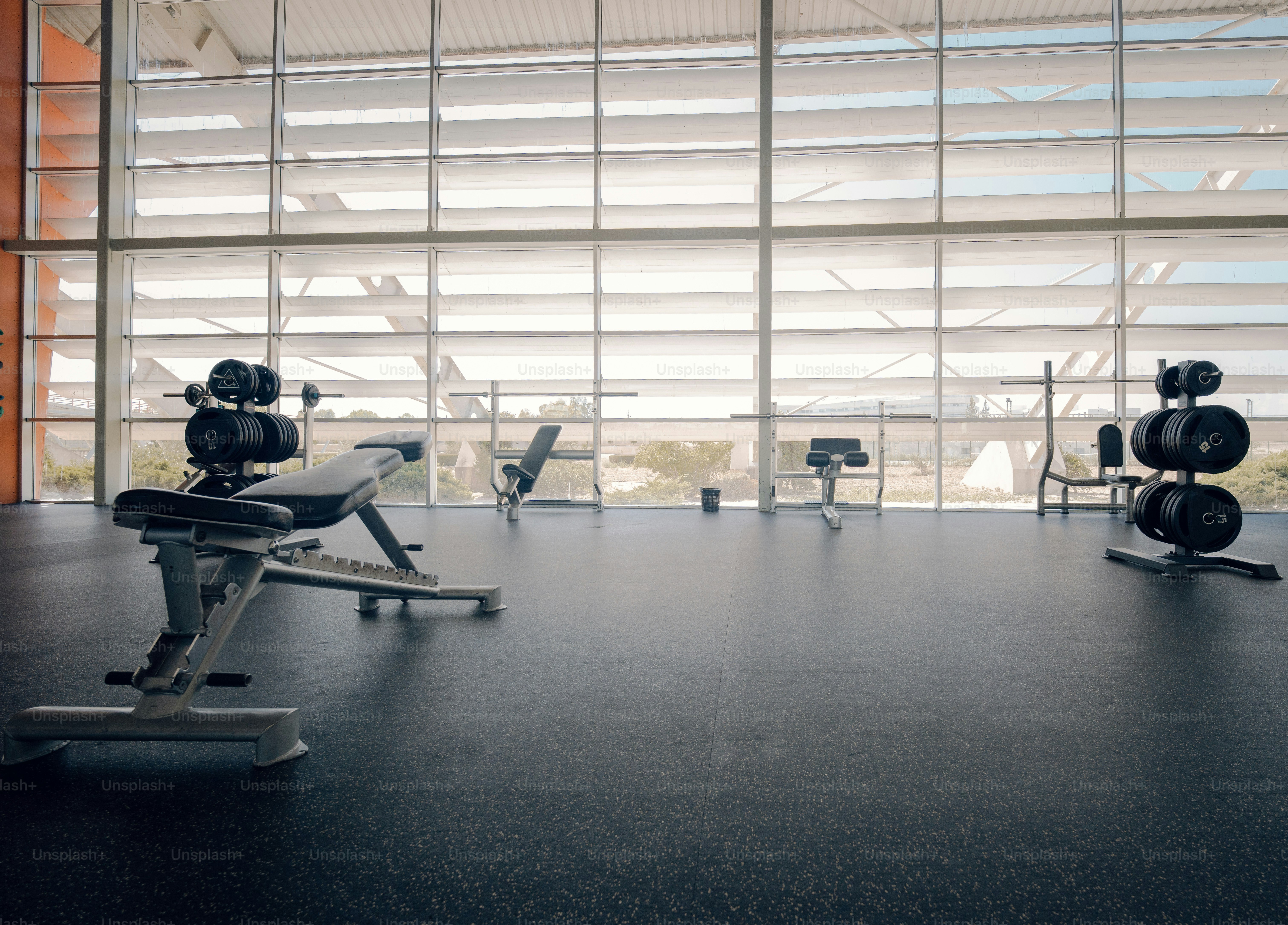 Weight benches and racks with plates in a sunlit gym with large windows