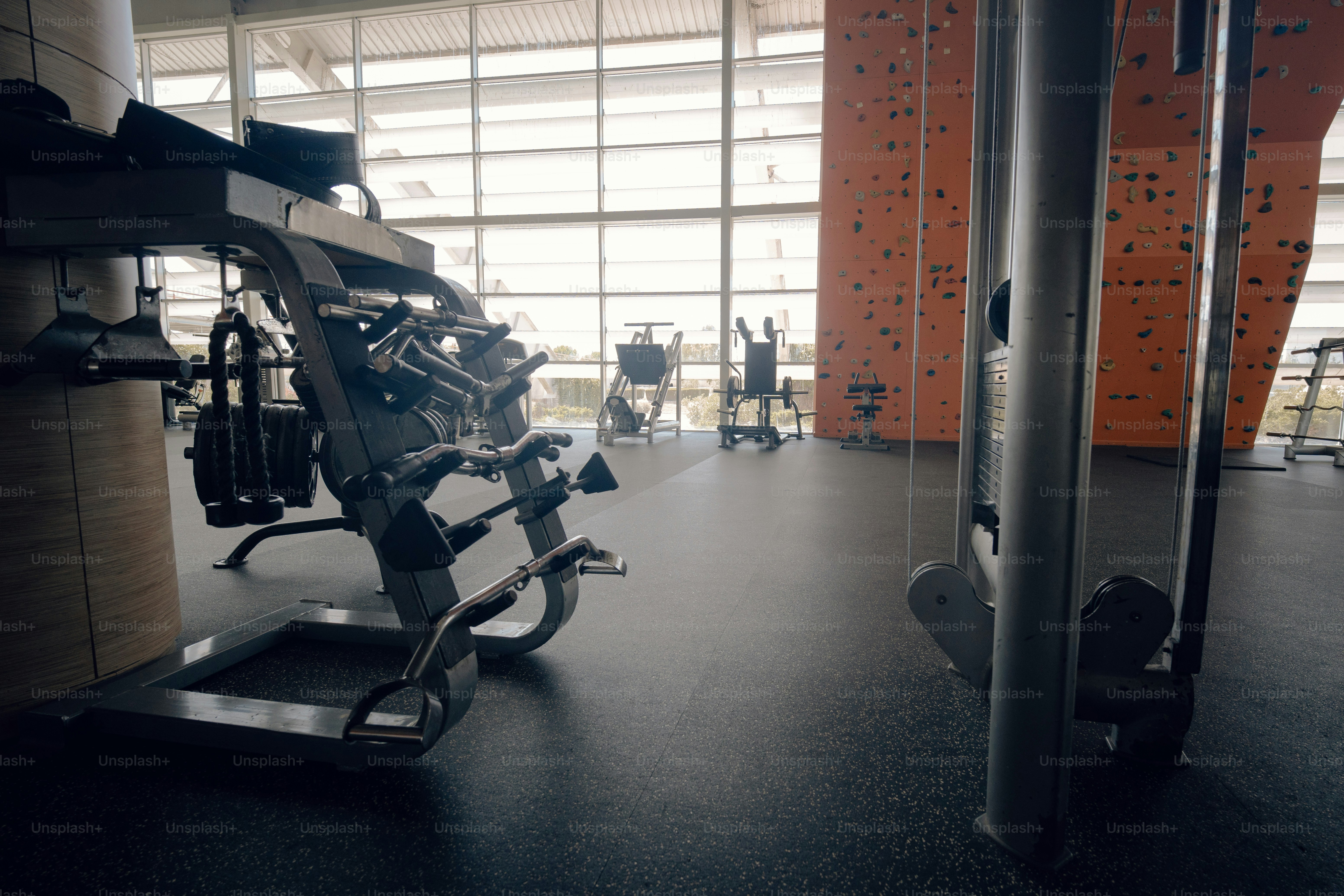 Weight machines and a climbing wall in a sunlit gym with large windows