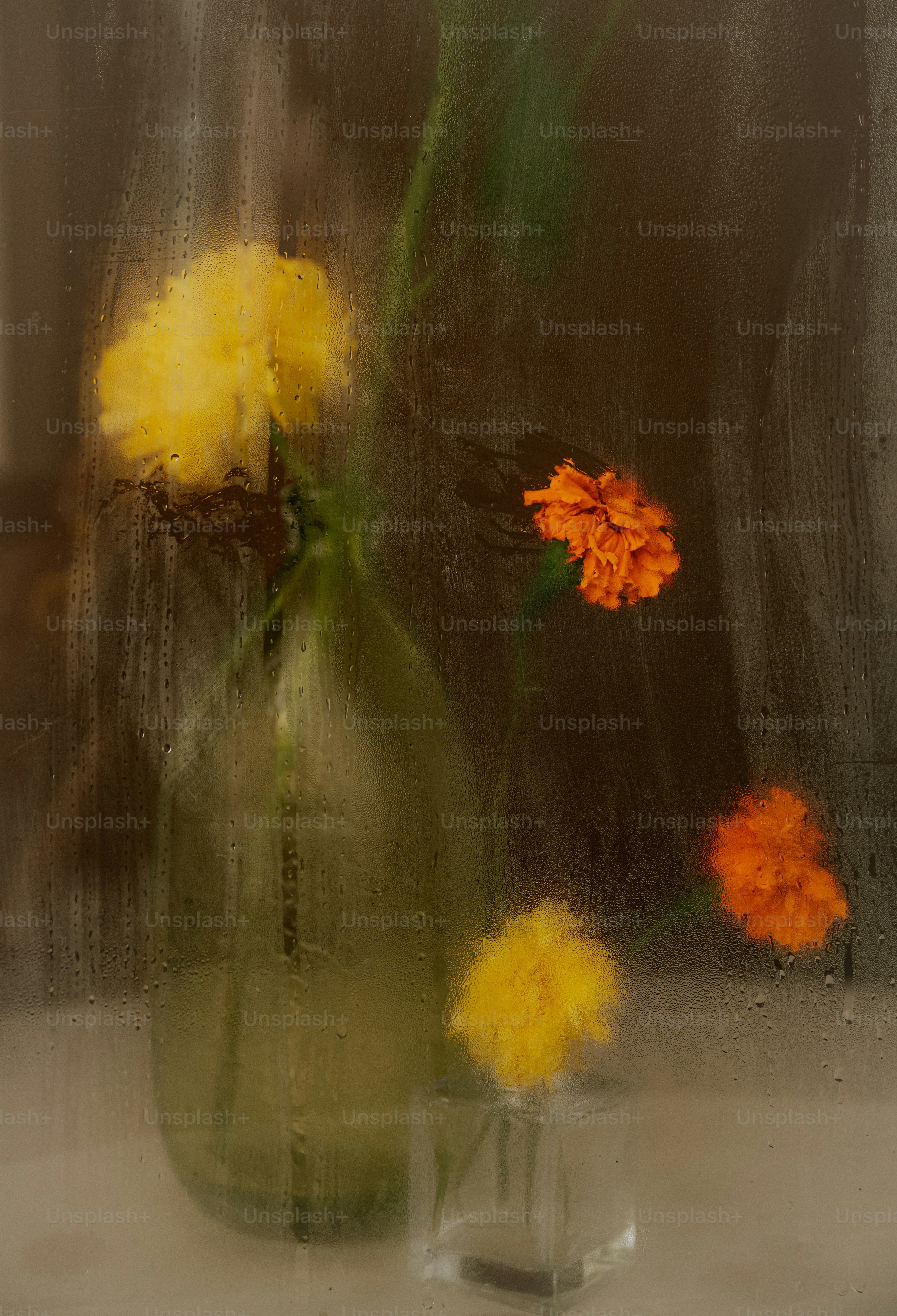 Yellow and orange marigolds in glass vases behind a rain-streaked window