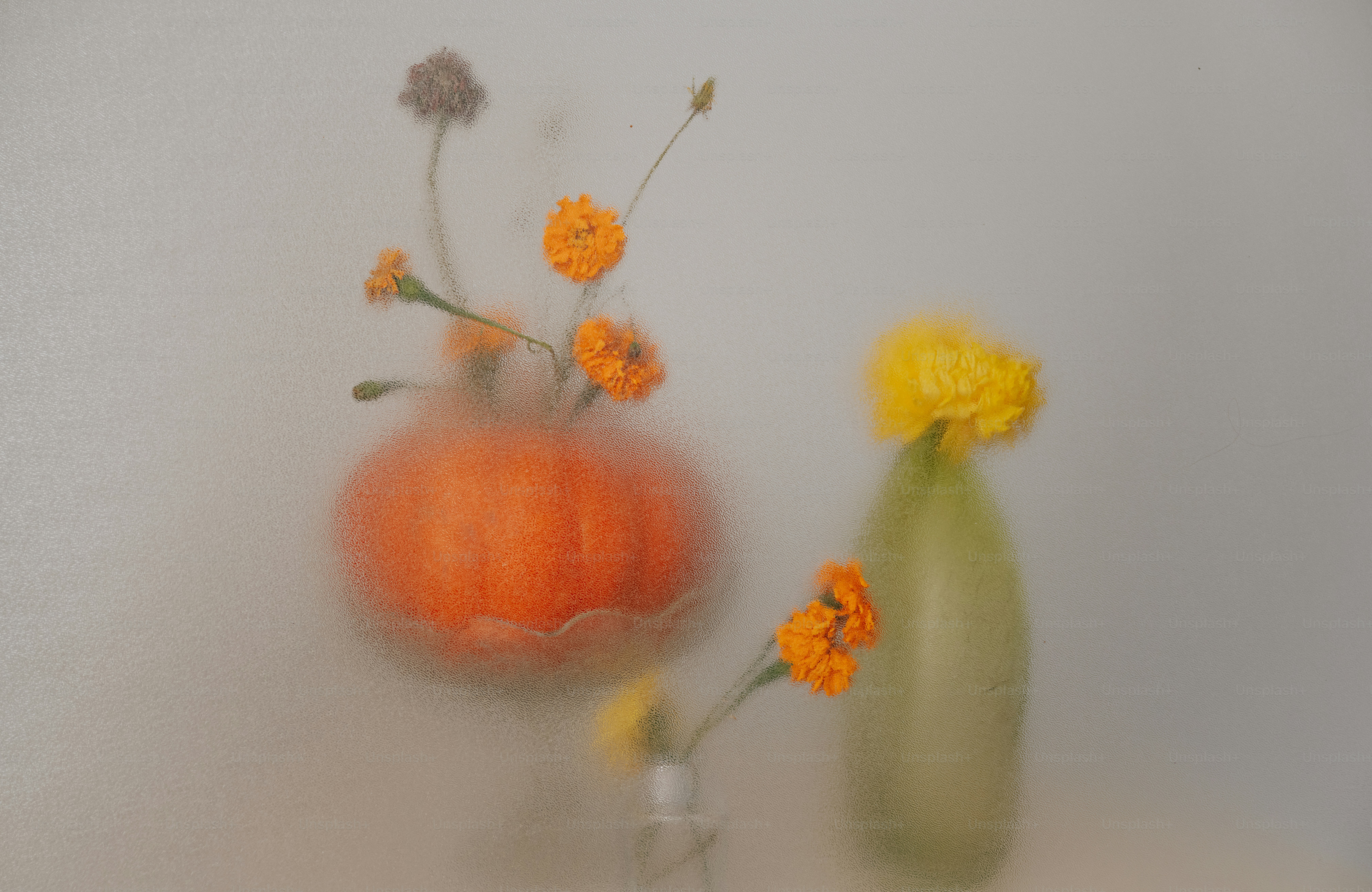 Orange and yellow flowers in glass vases viewed through a frosted glass surface