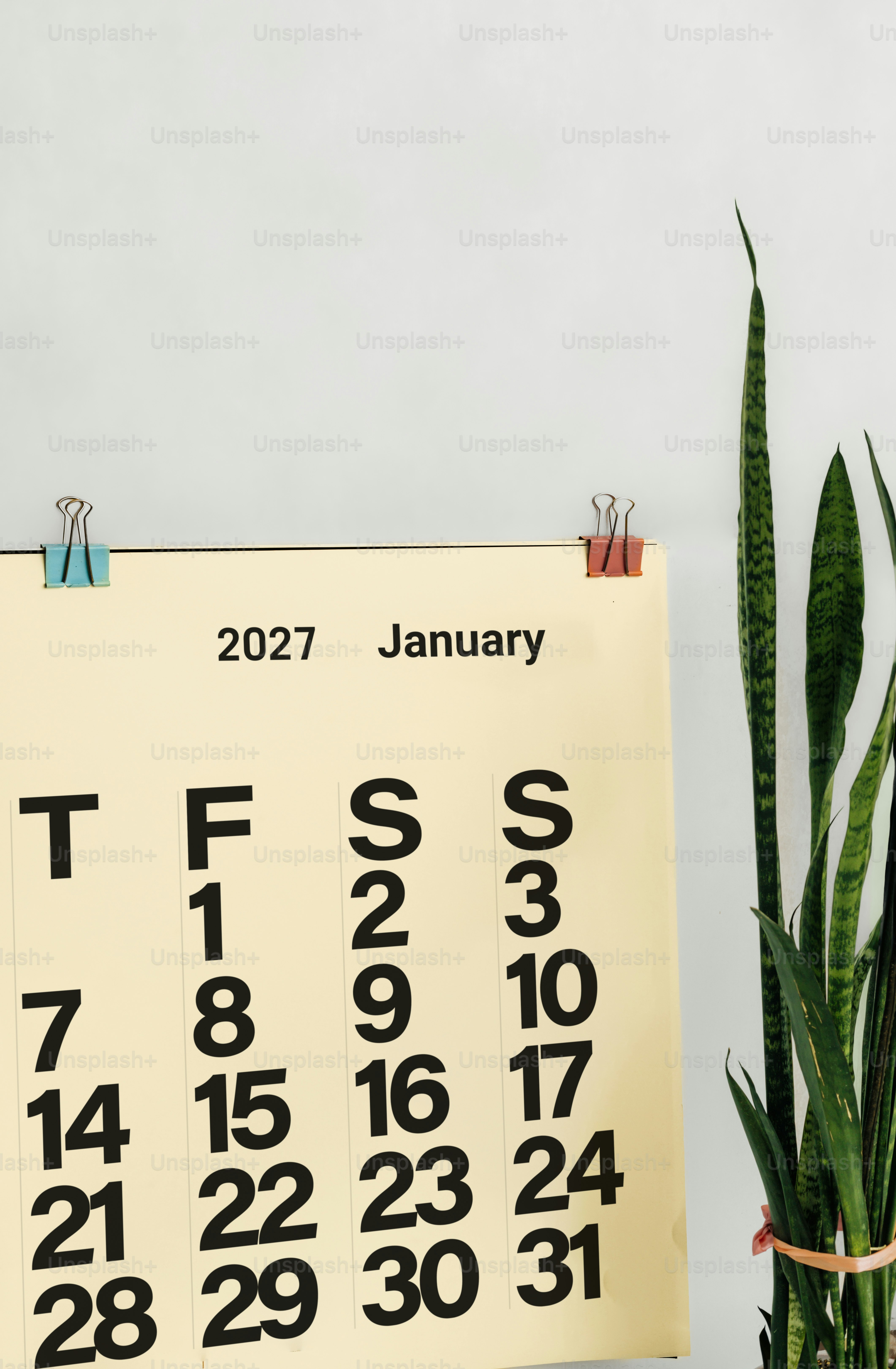 A January 2027 calendar page hanging with metal clips beside a snake plant