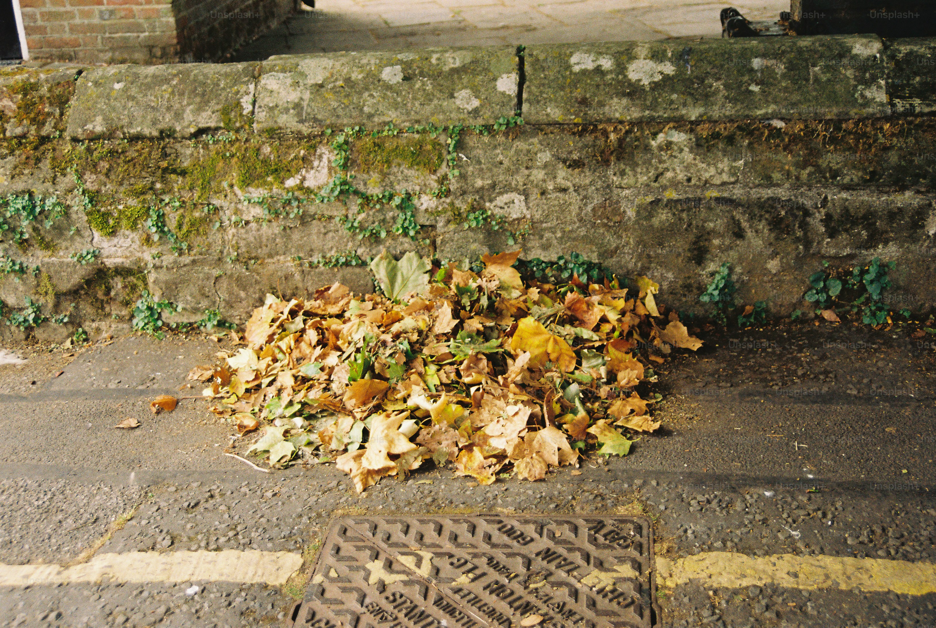 A pile of fallen autumn leaves against a mossy stone wall on pavement