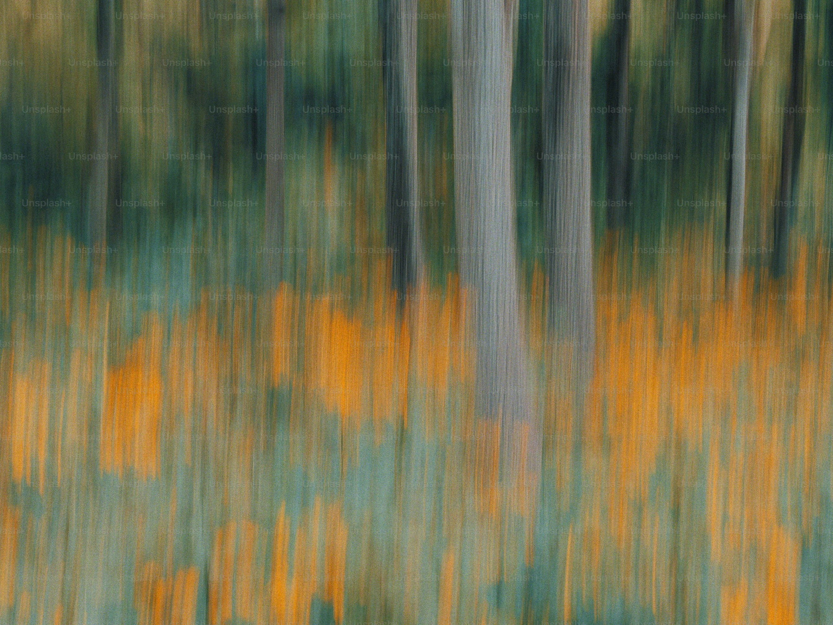 Vertical motion blur of tree trunks in a forest with orange and green foliage