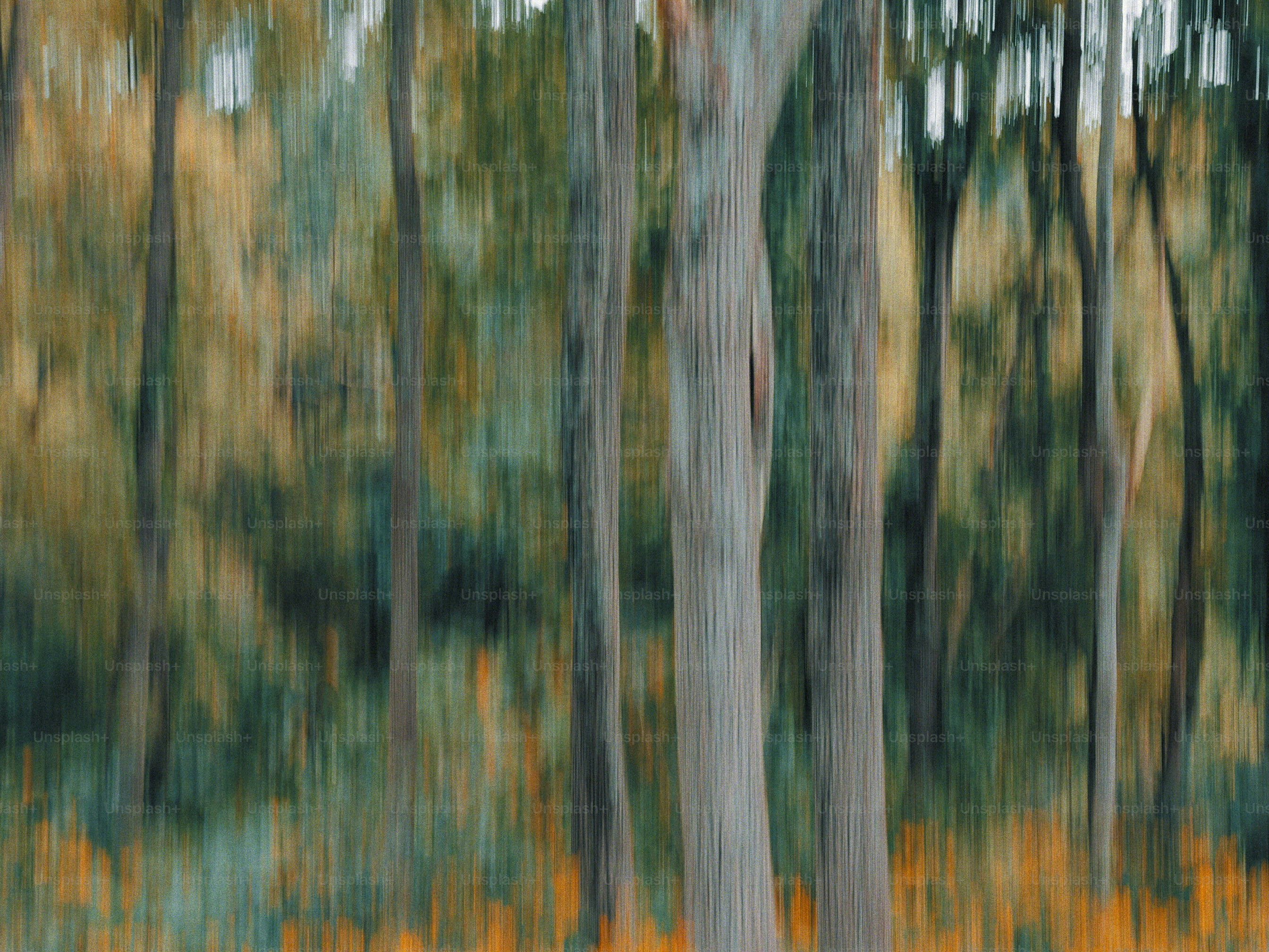 Vertical motion blur of tree trunks and golden wildflowers in a forest
