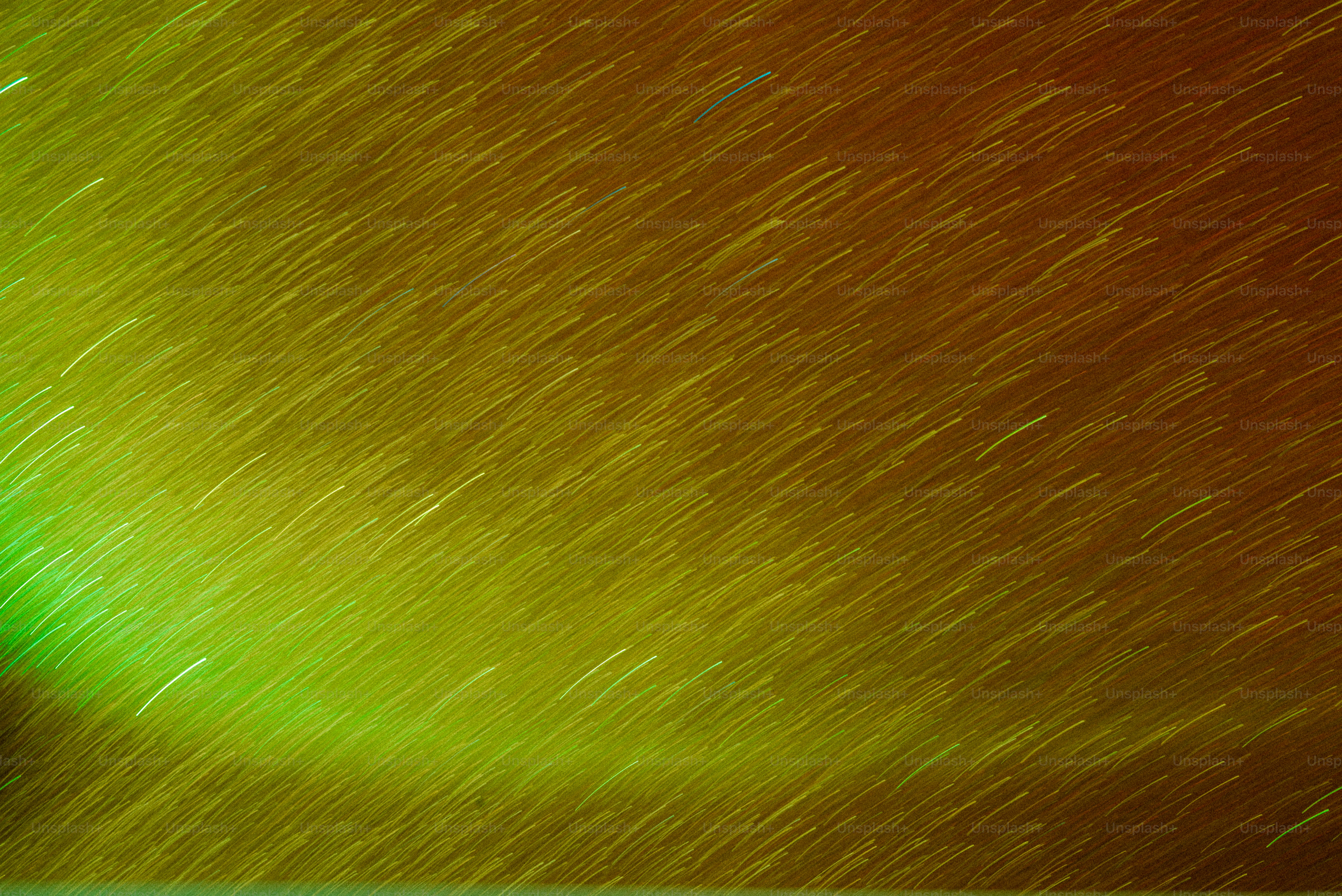Green and blue long exposure trails - Photo on Unsplash+