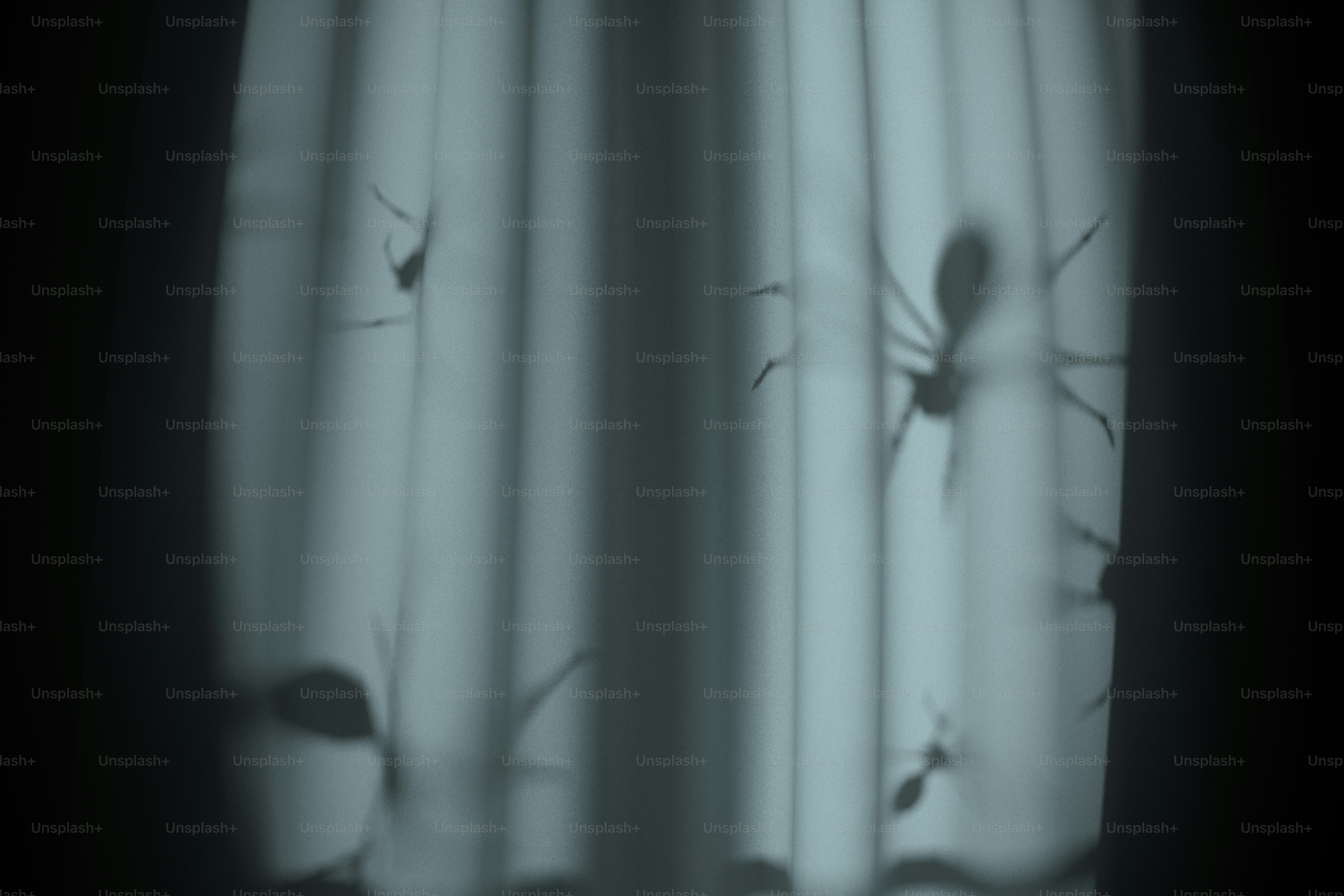 Shadows of ants cast onto a light blue curtain