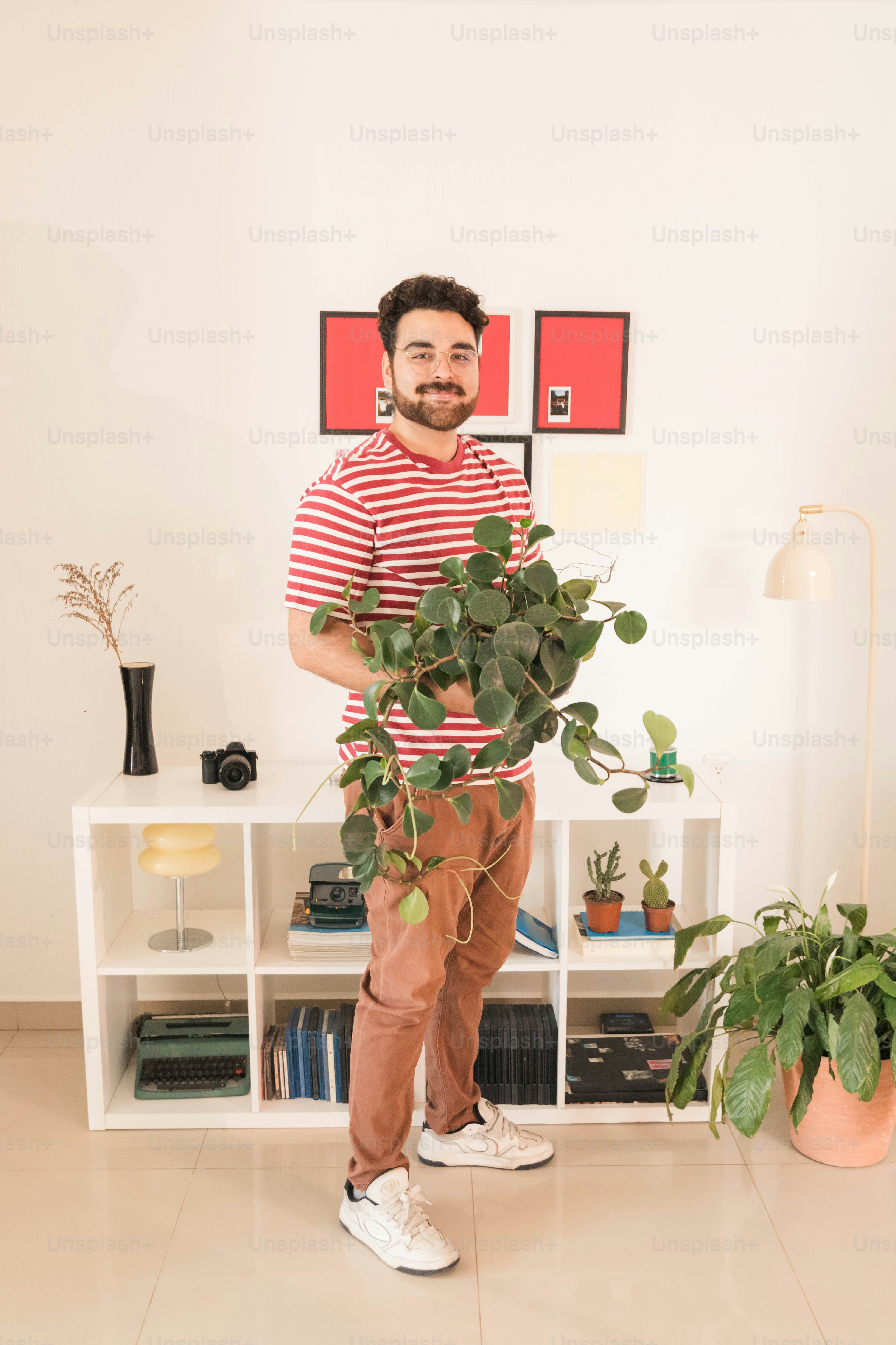 A man in a red striped shirt holding a trailing plant in a room
