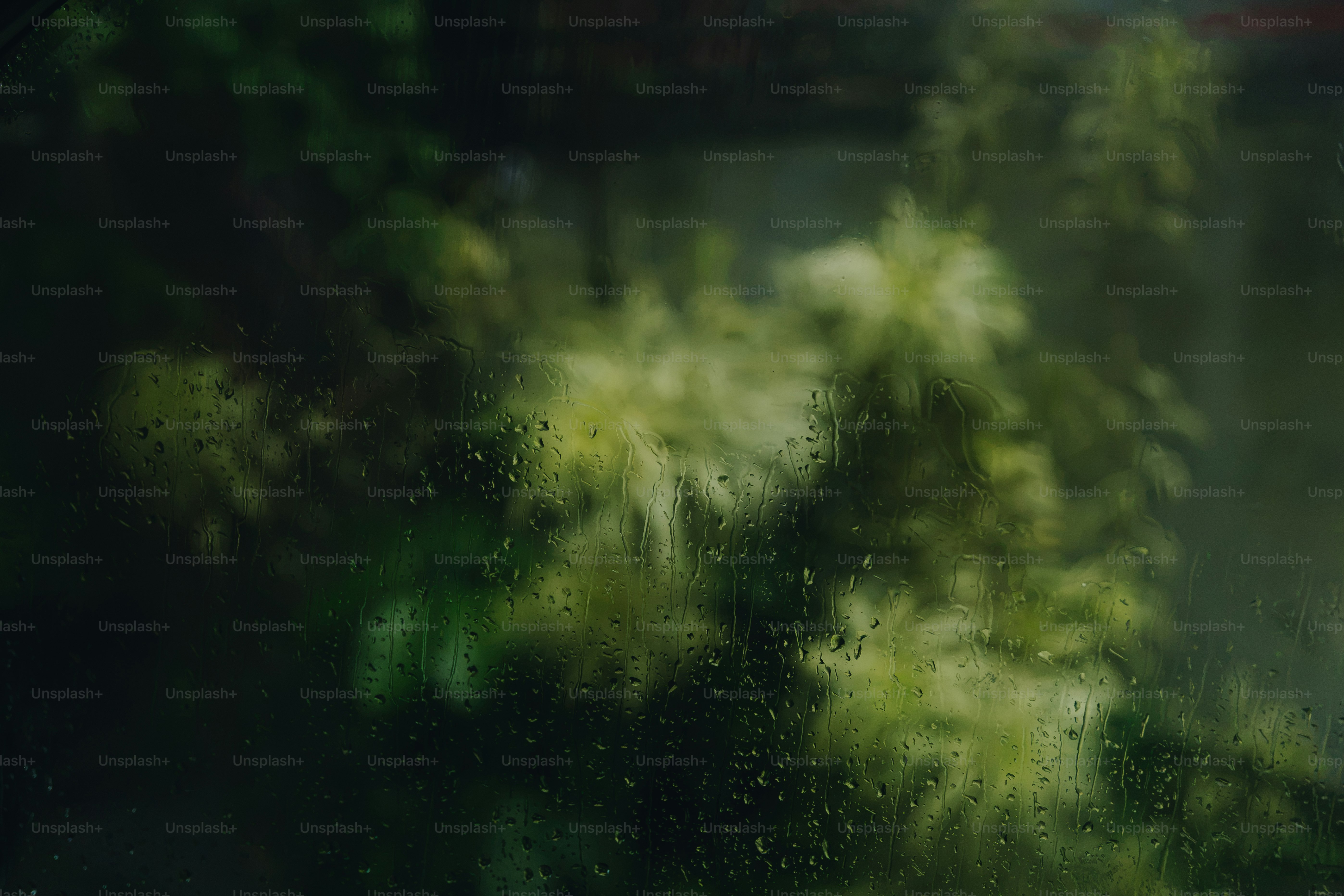 Gotas de lluvia en la ventana con follaje verde - Foto en Unsplash+