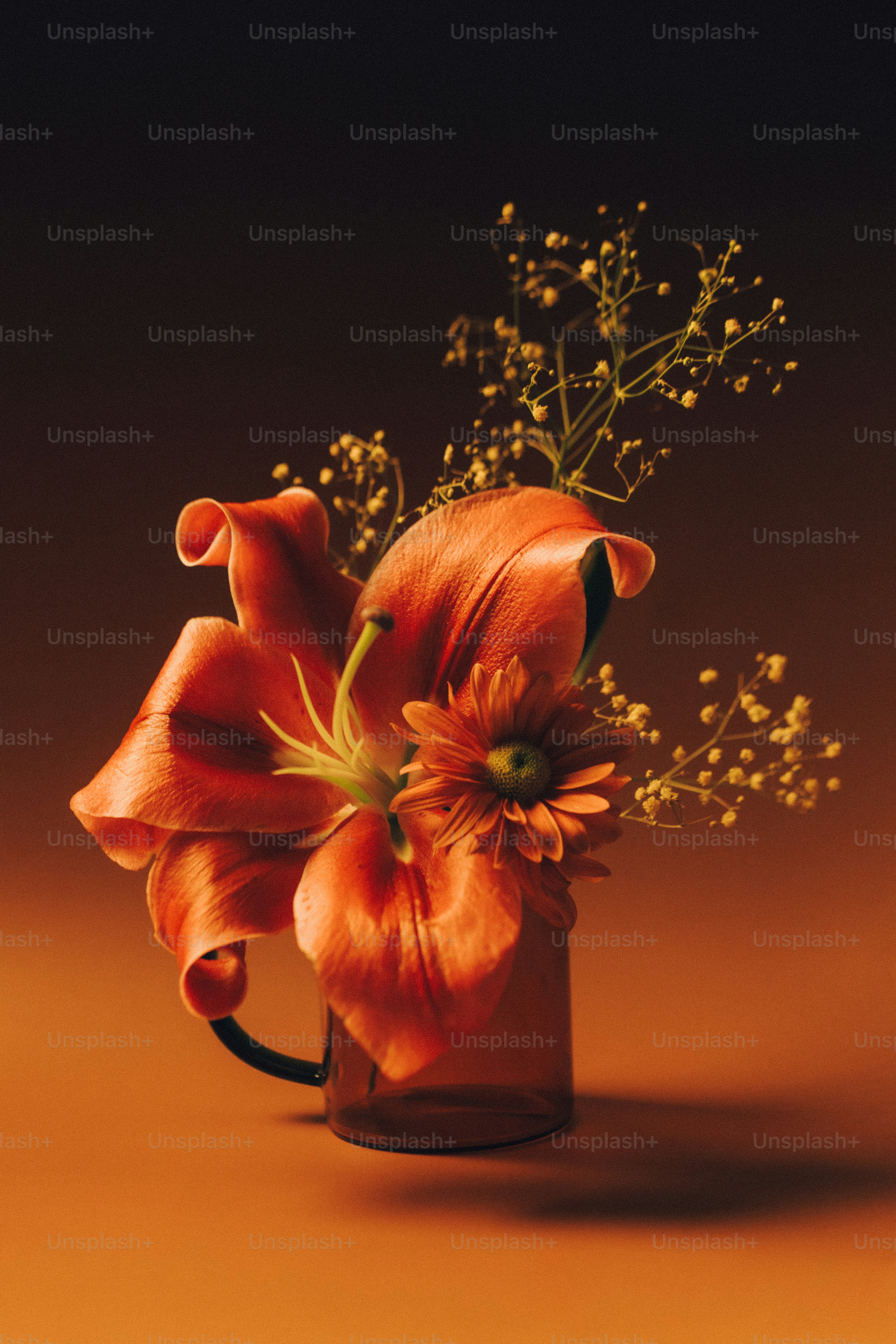 Fleurs de lys orange dans un vase en verre - Photo sur Unsplash+