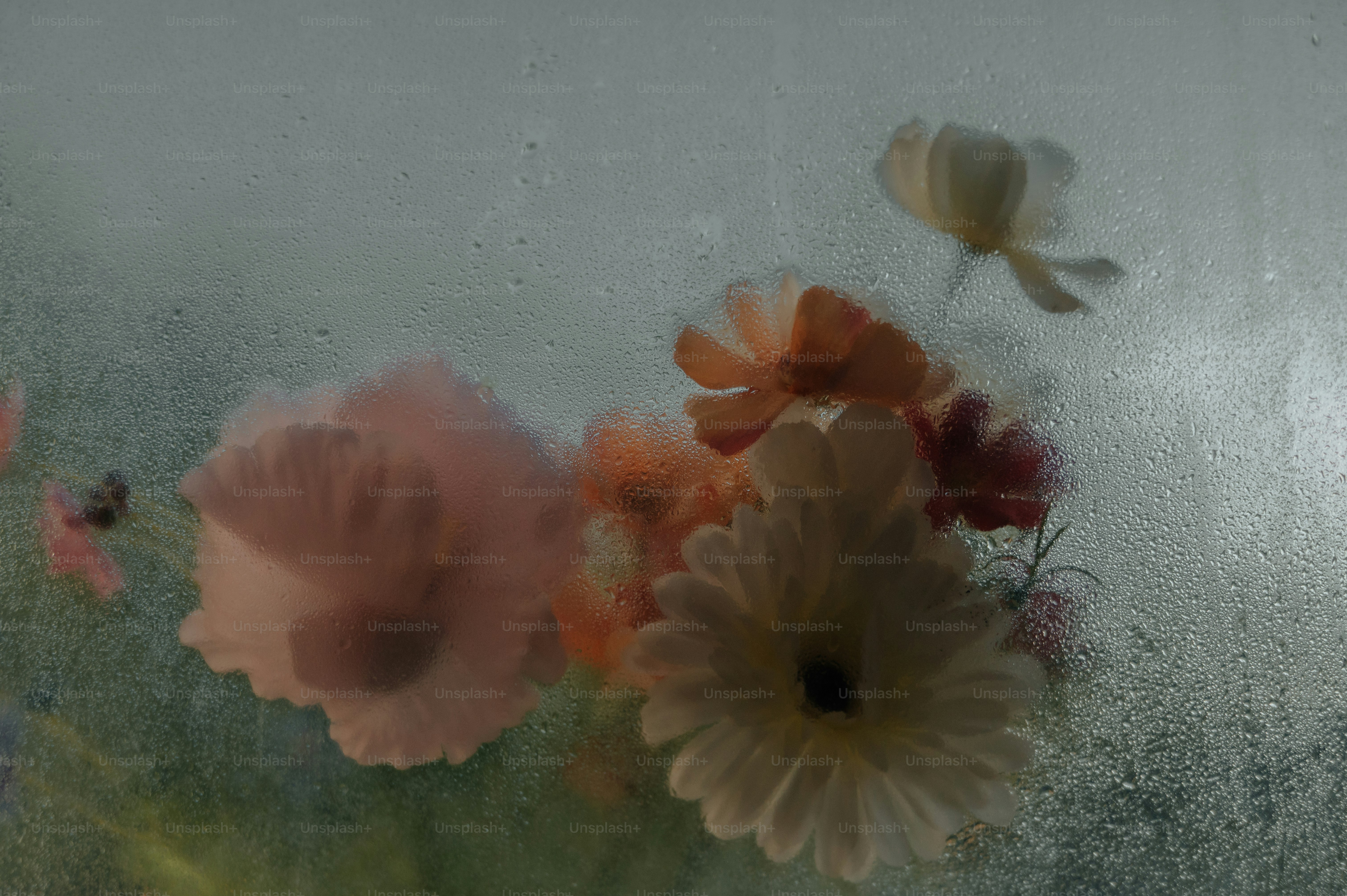 Fiori colorati visti attraverso un vetro coperto di gocce d'acqua