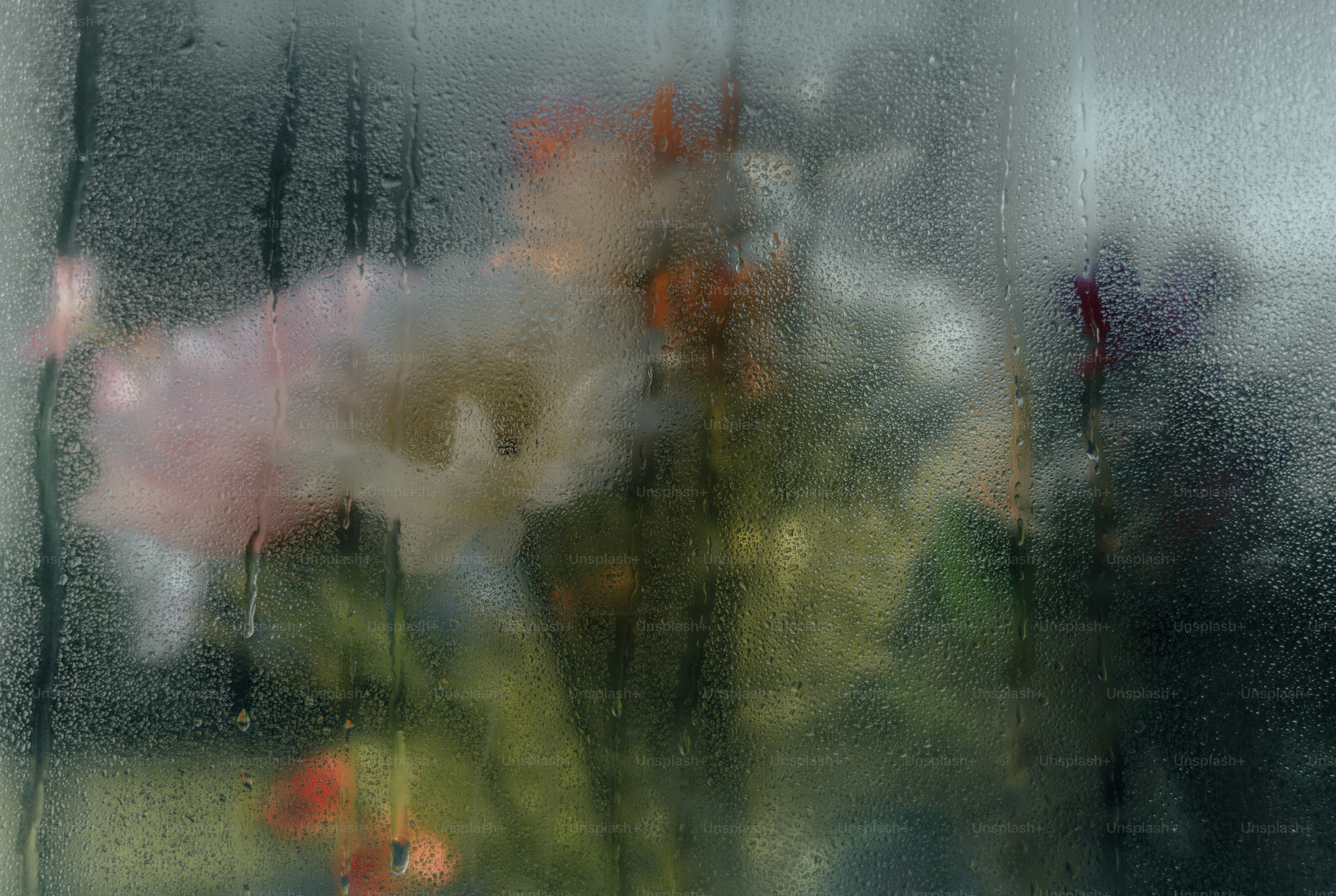 Fiori colorati sfocati visti attraverso un vetro coperto di gocce di pioggia