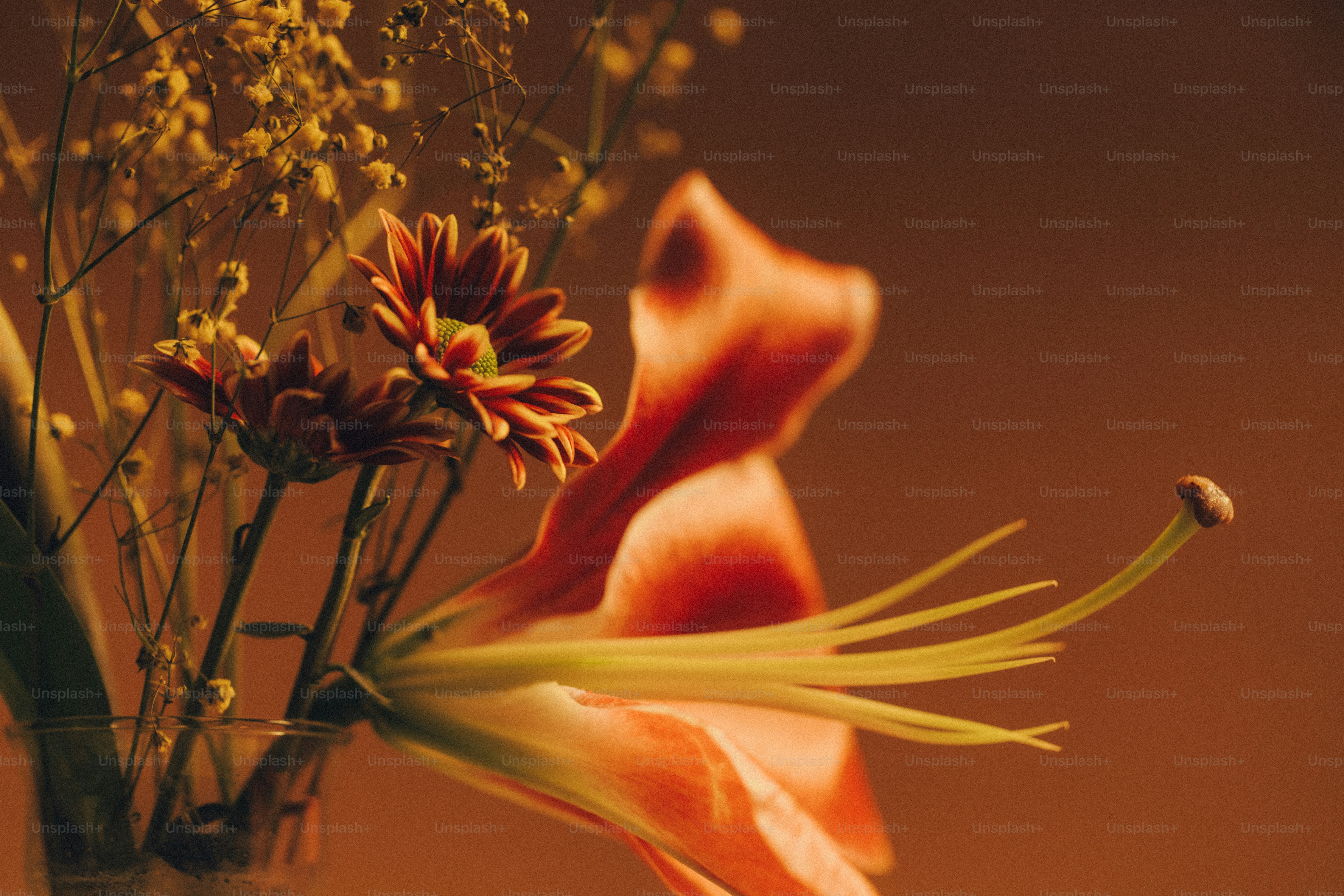 A bouquet of orange lilies and small white flowers in a glass vase