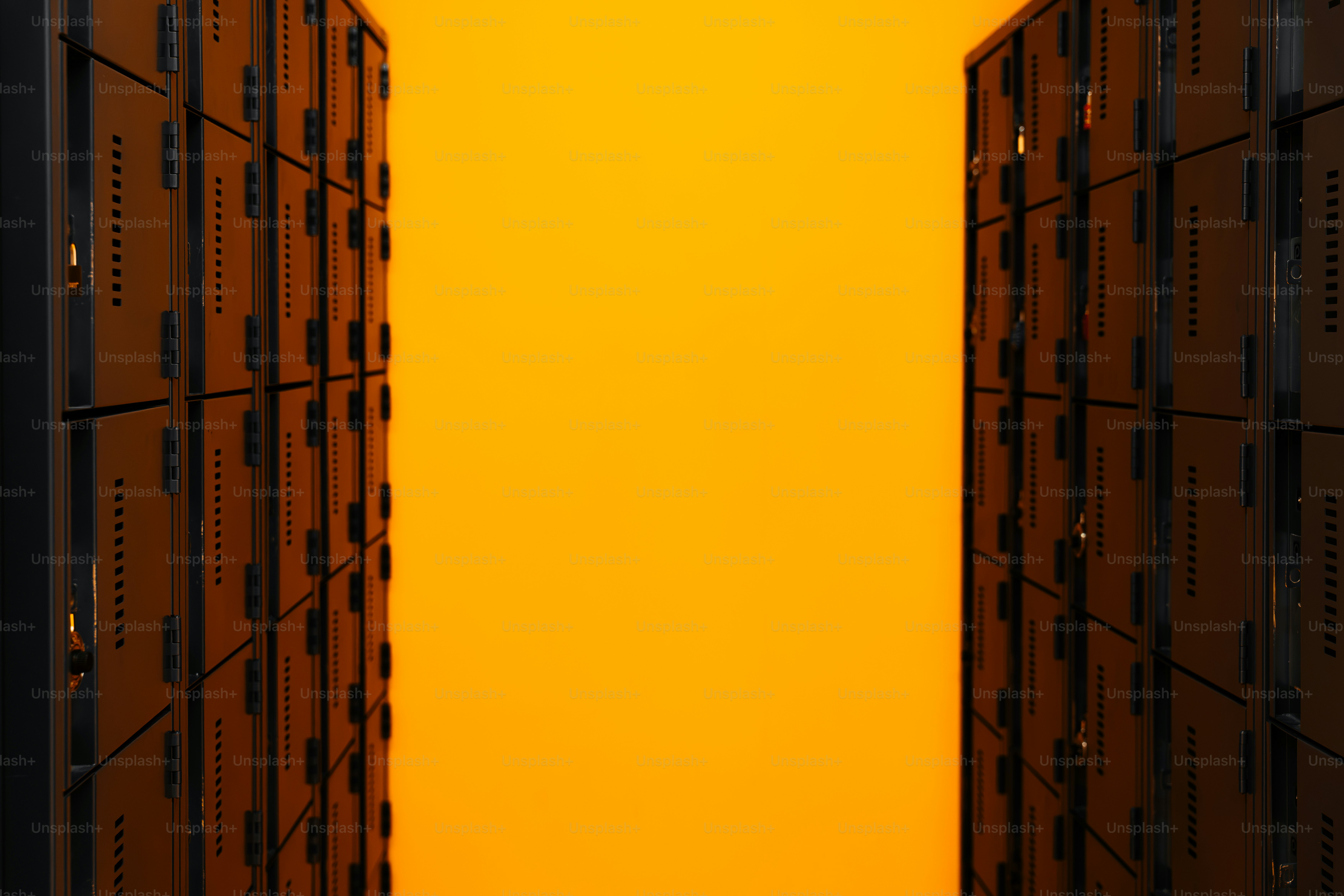 Deux rangées de casiers métalliques sombres flanquaient un mur jaune vif