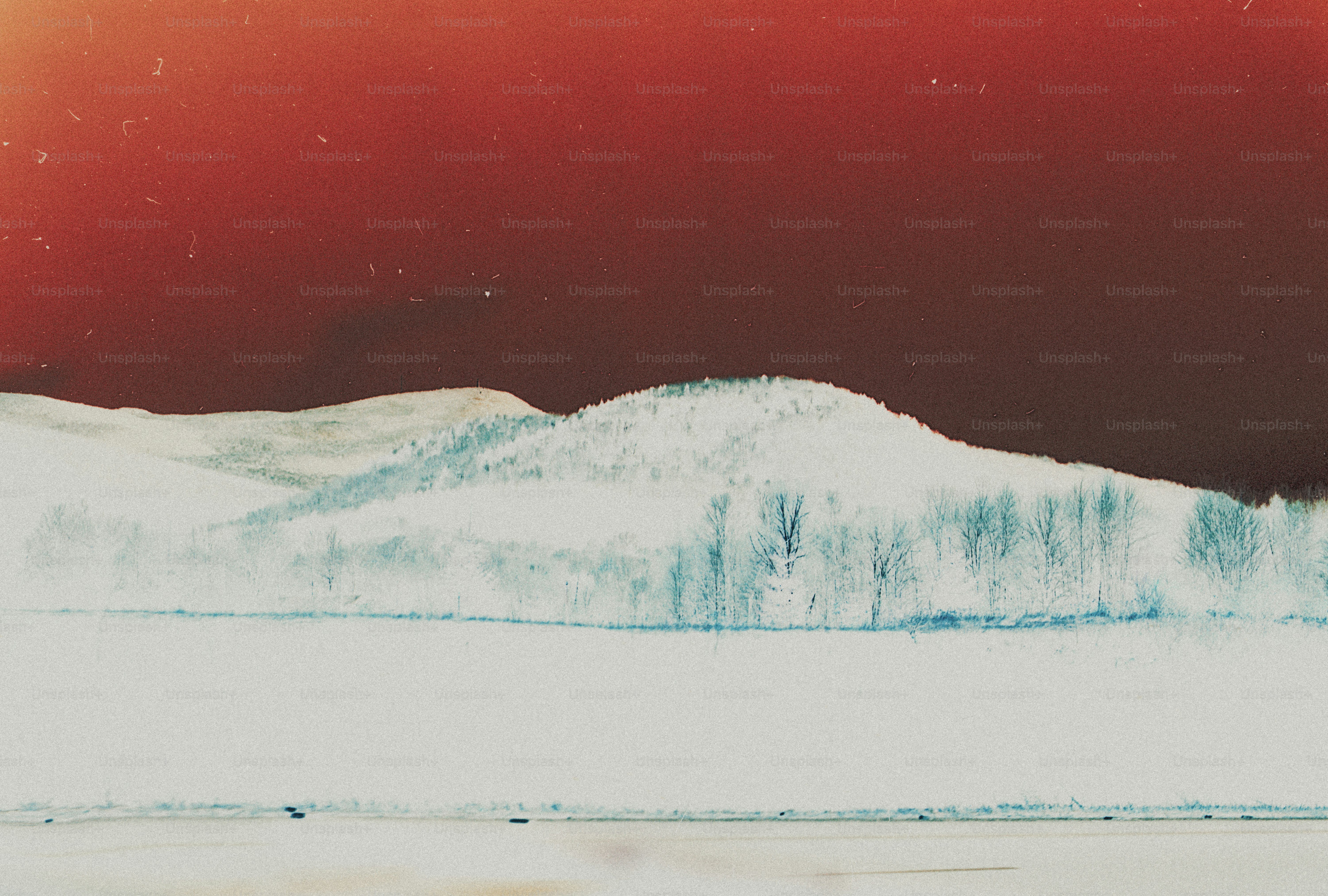 Colores invertidos colina de nieve y árboles - Foto en Unsplash+