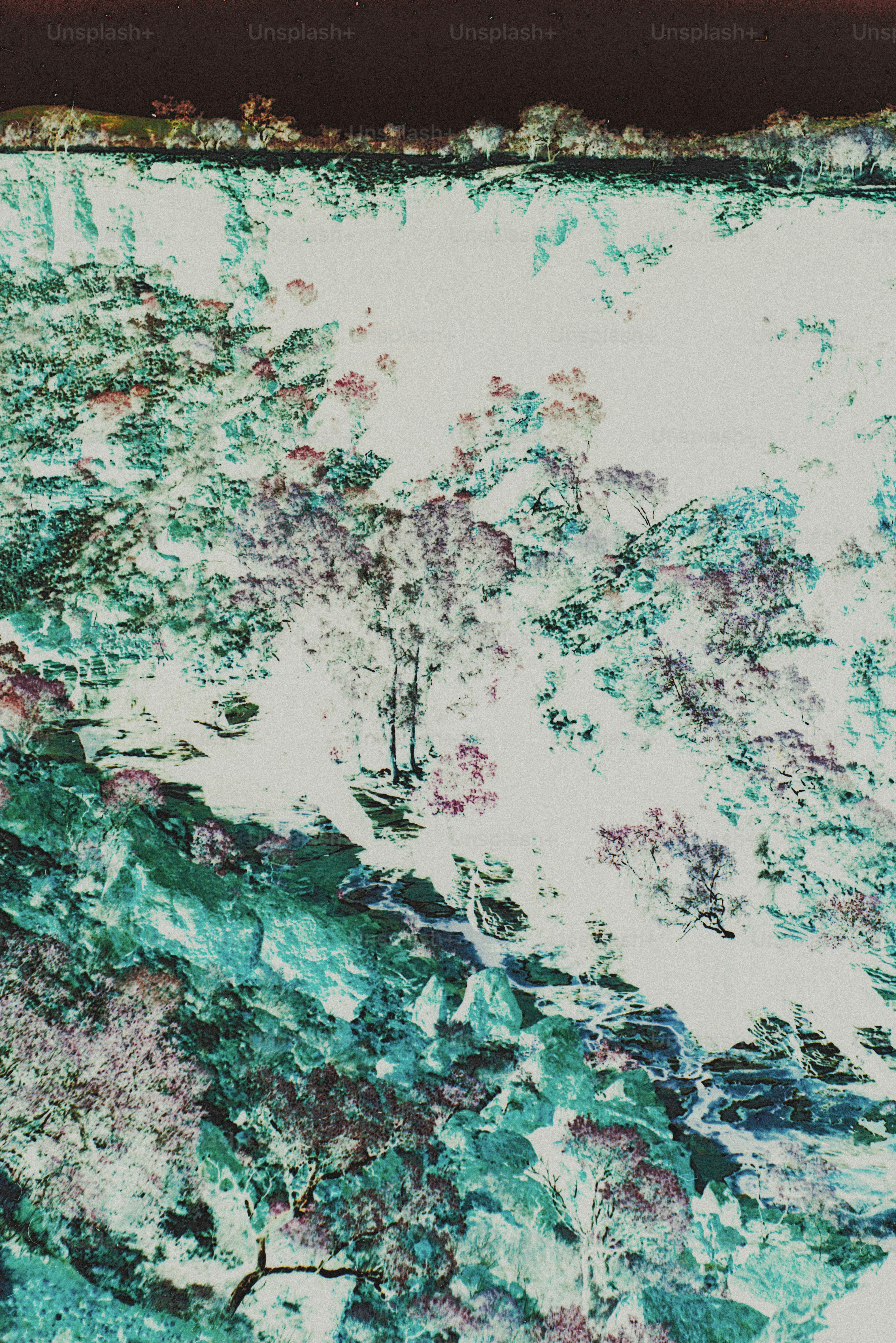 Inverted landscape with trees and stream - Photo on Unsplash+