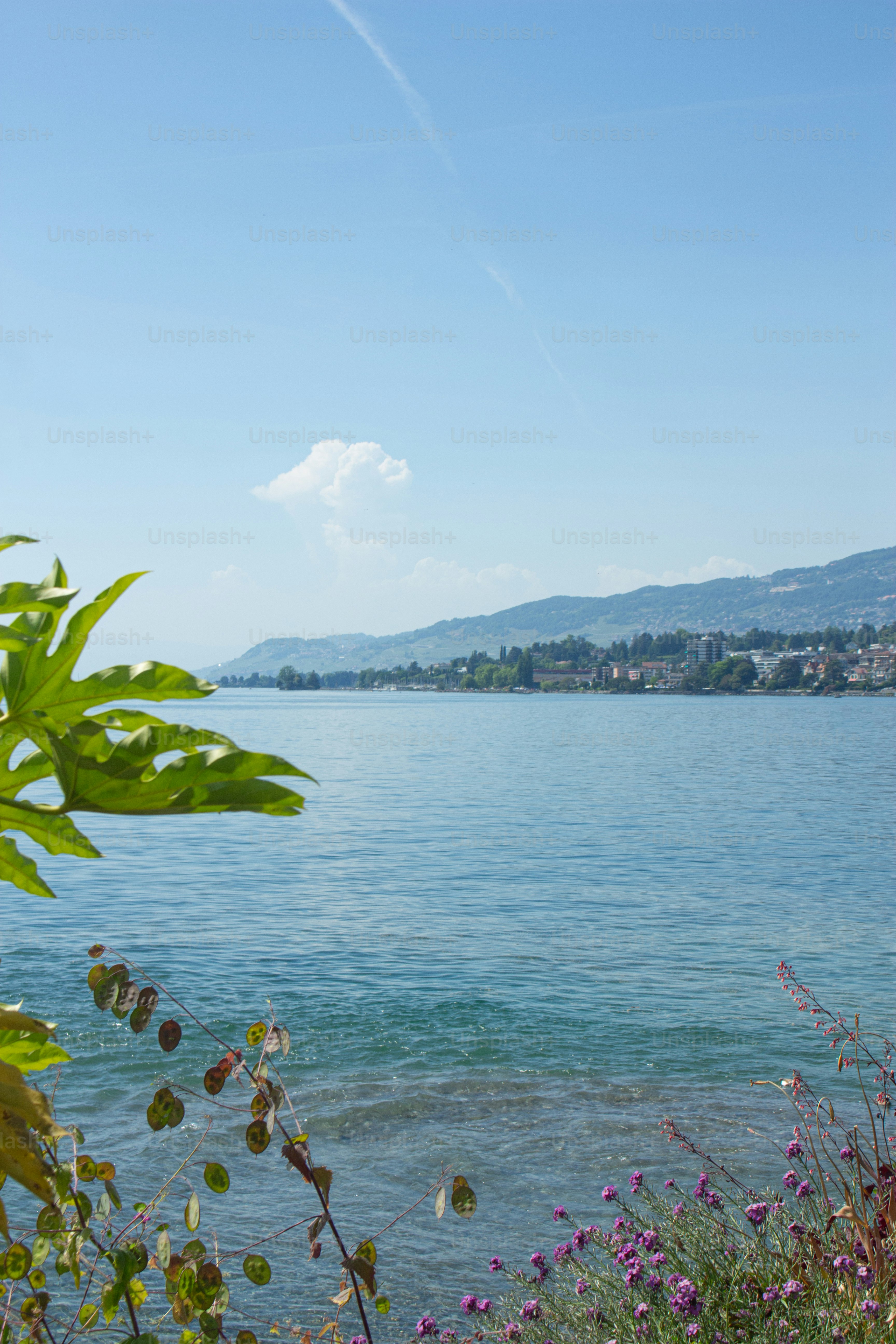 Der Genfersee mit fernen Bergen und einem Stadtufer in Montreux, Schweiz