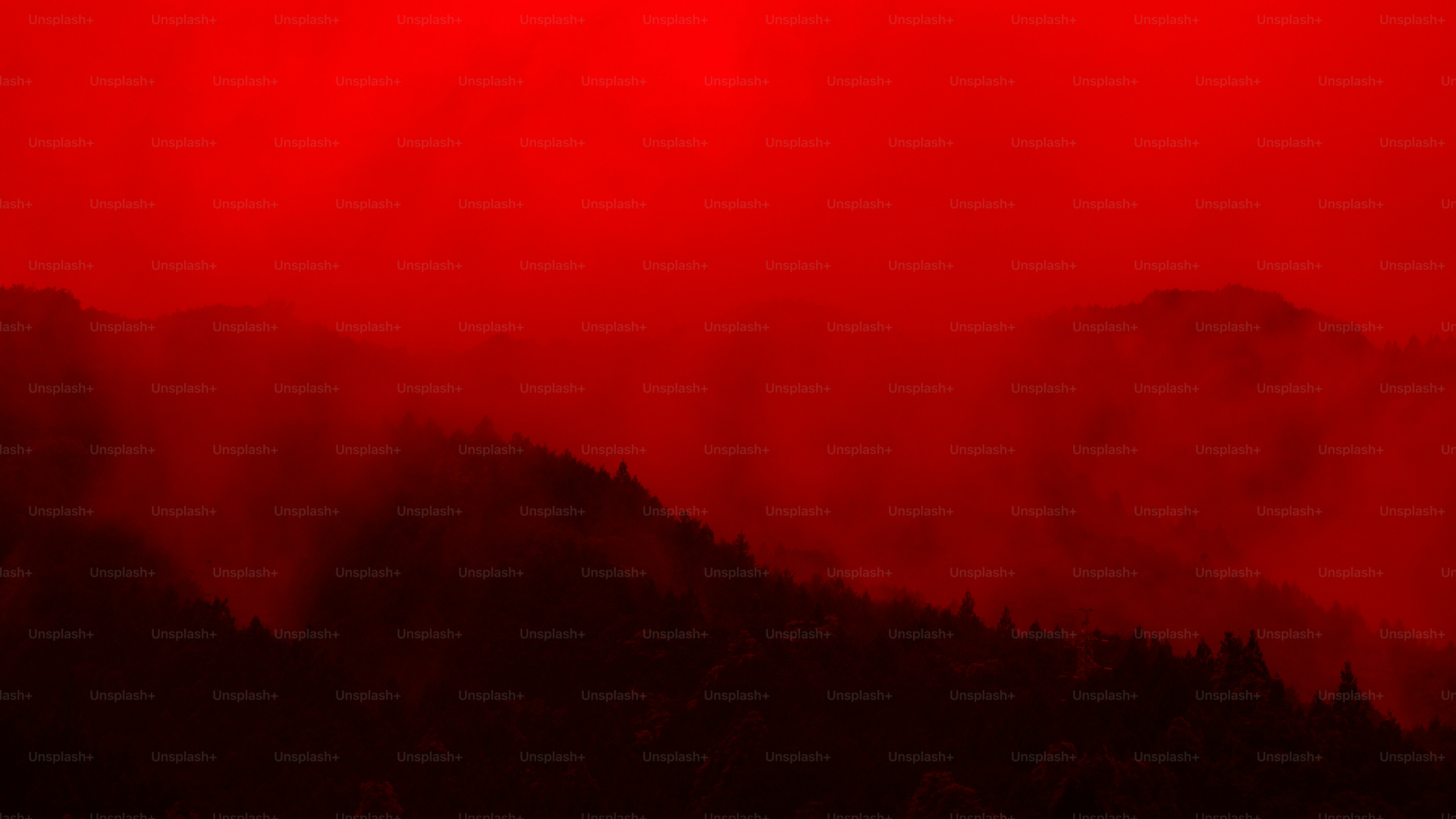 Una sagoma di foresta scura contro un cielo rosso vibrante