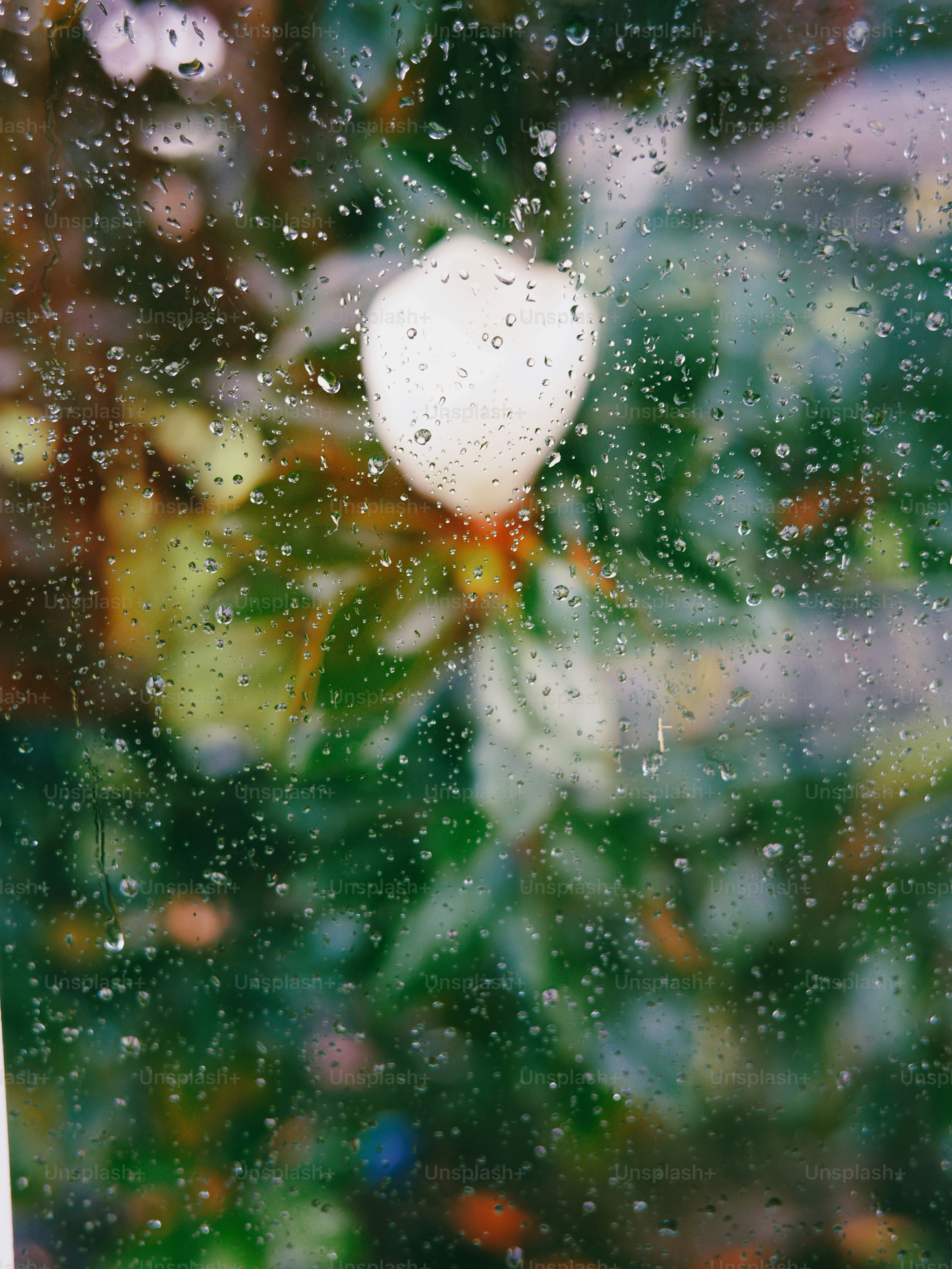 Raindrops on a window pane with a blurred green garden in the background