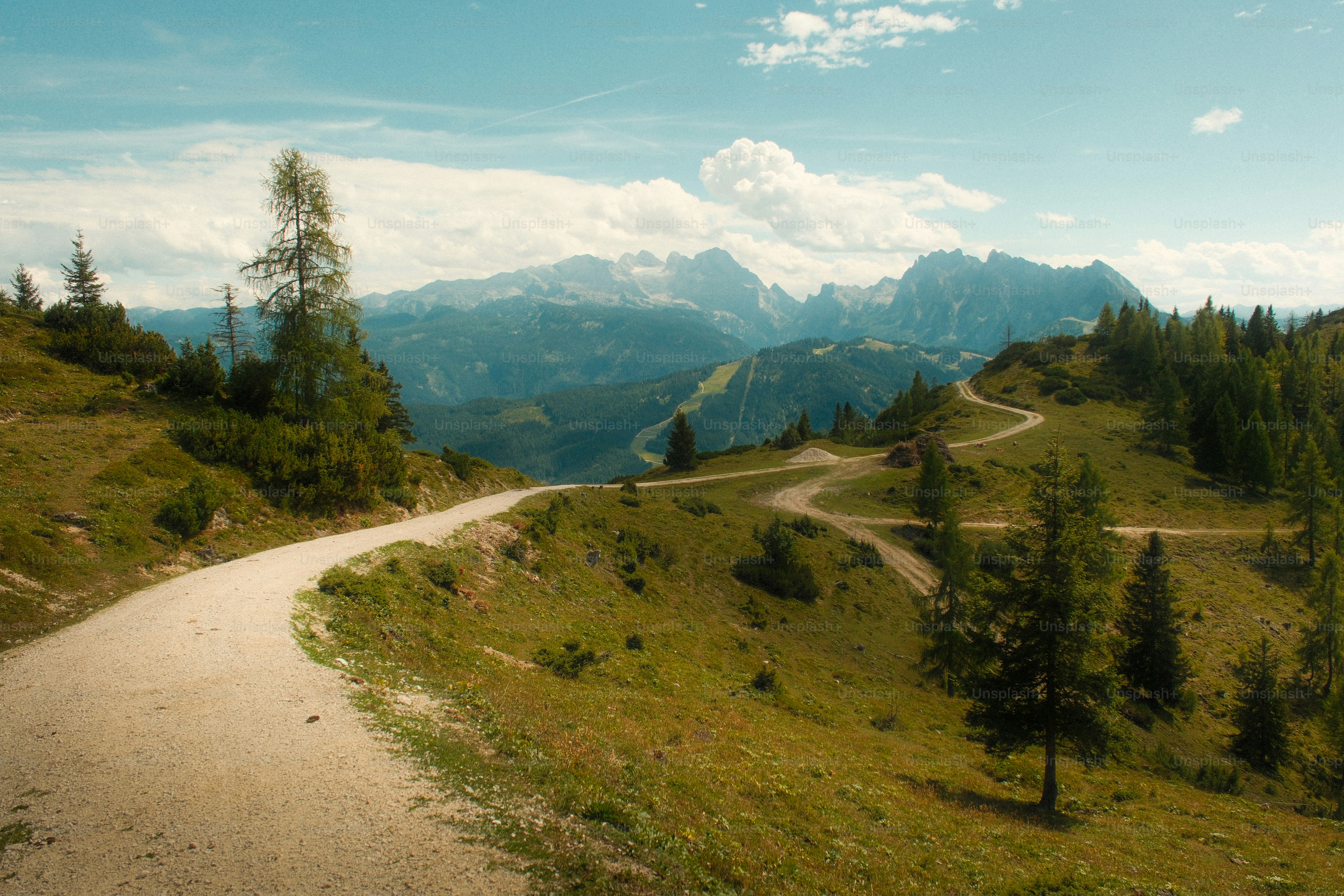A winding dirt path through a grassy mountain landscape with scattered pine trees