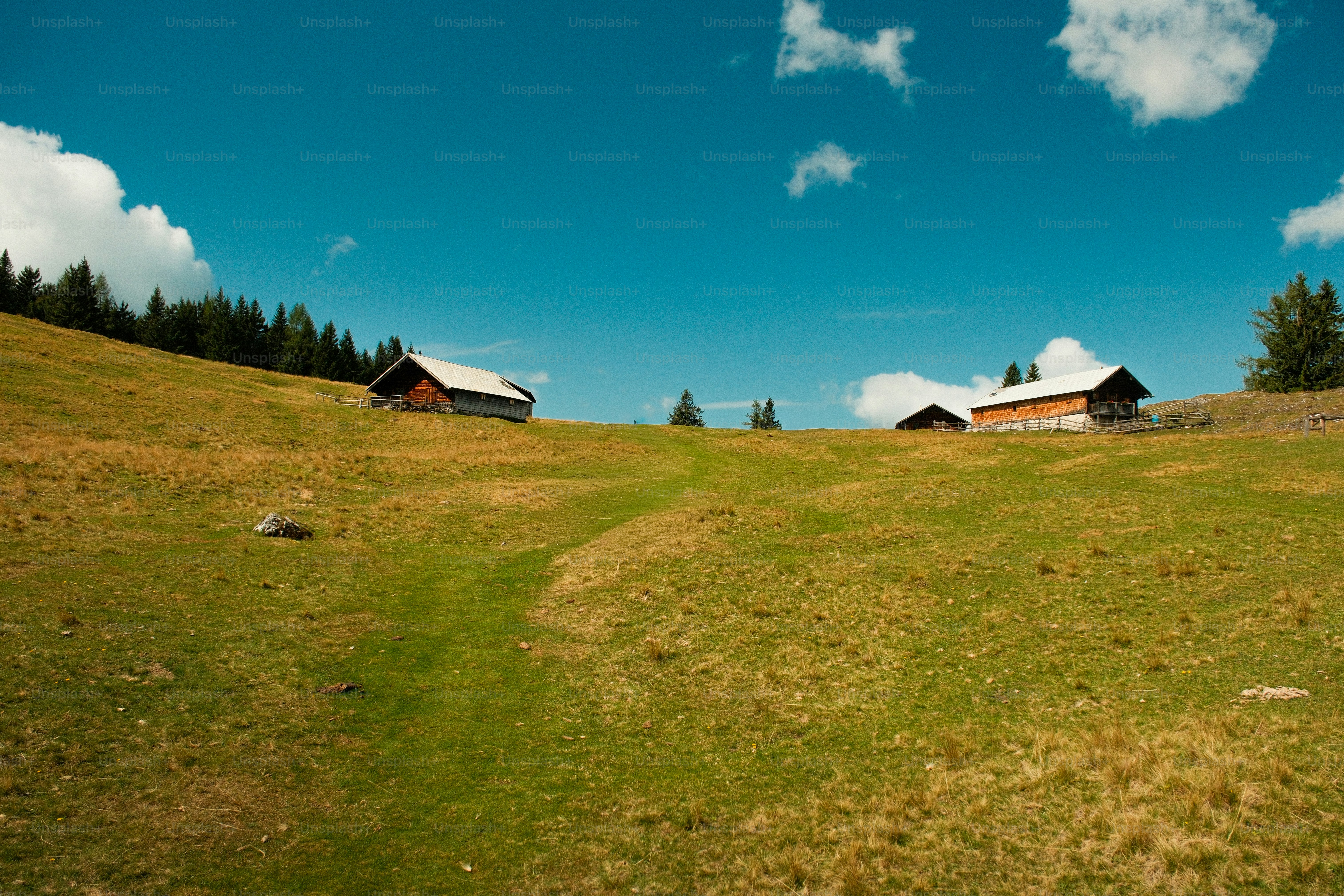 Wooden cabins on a grassy hillside under a clear blue sky